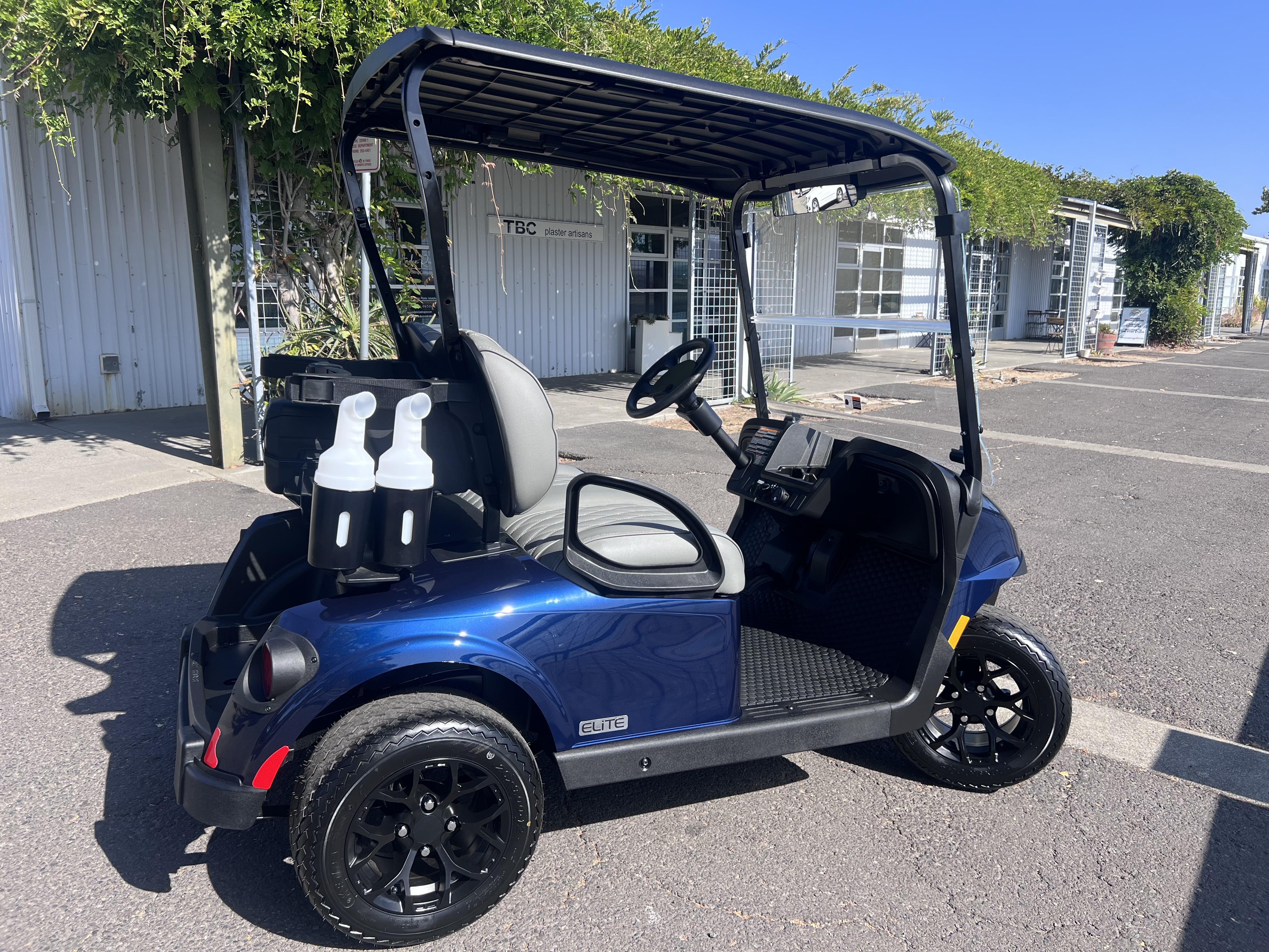 2026 EZGO Freedom photo 3