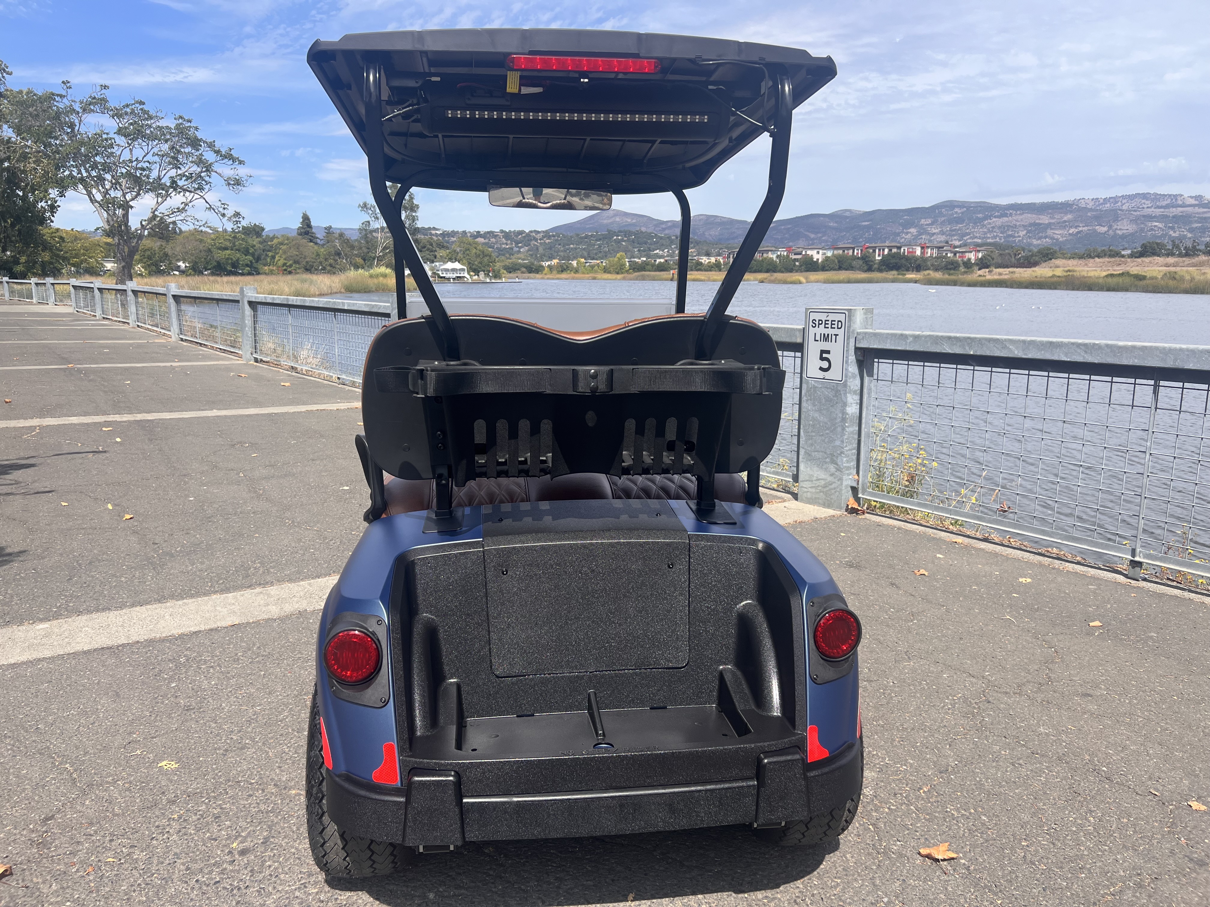 2027 EZGO RXV photo 4