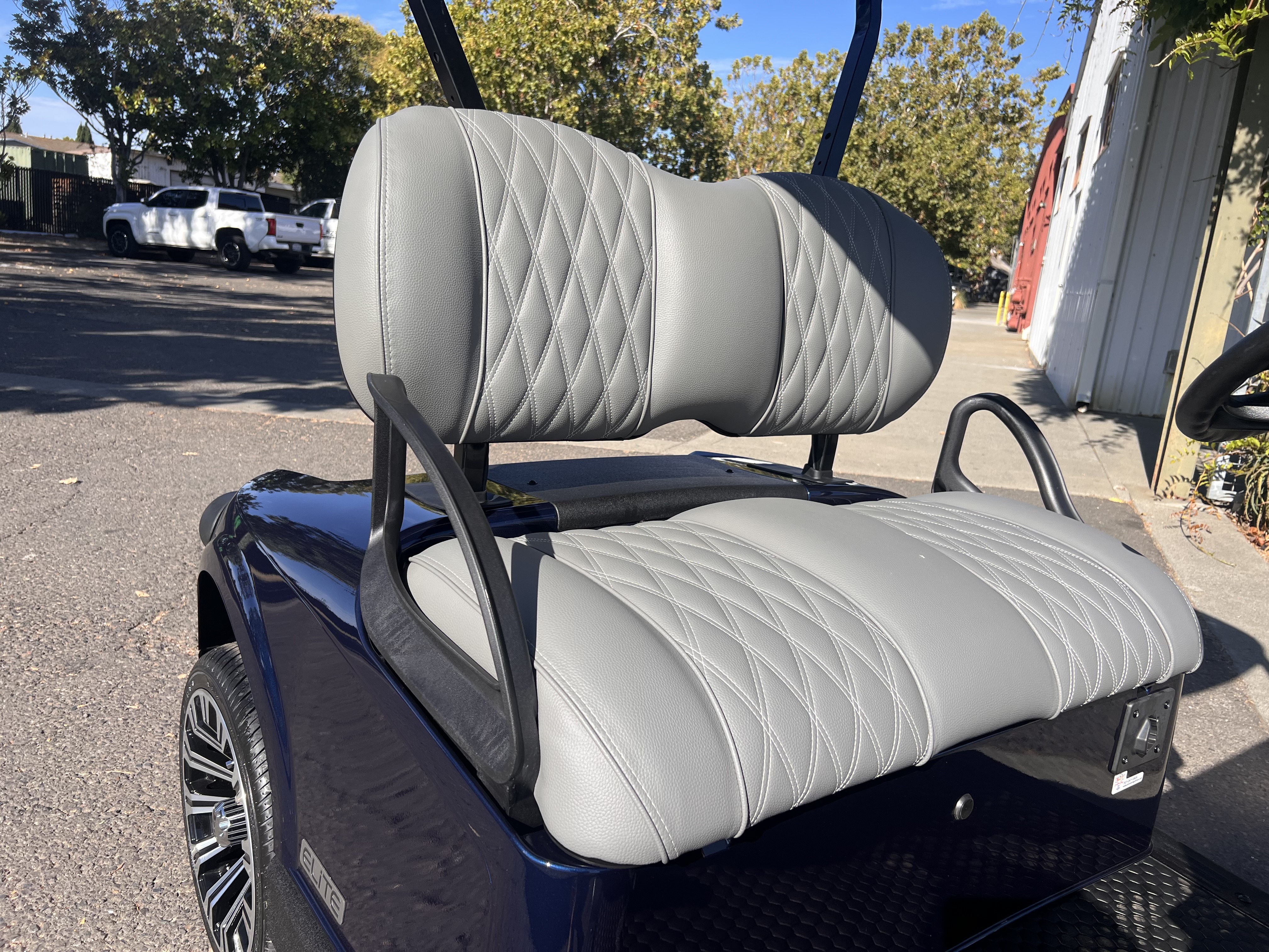 2027 EZGO RXV photo 2