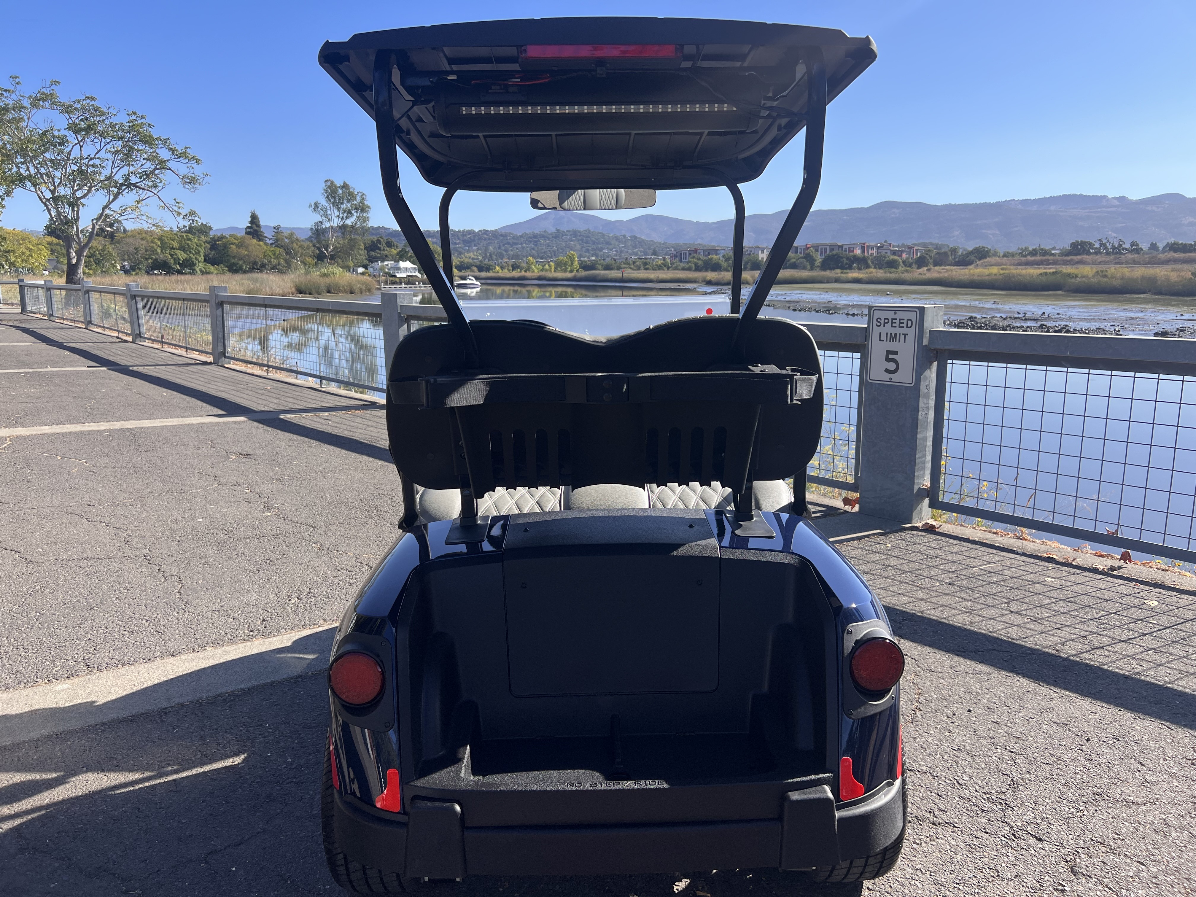 2027 EZGO RXV photo 6