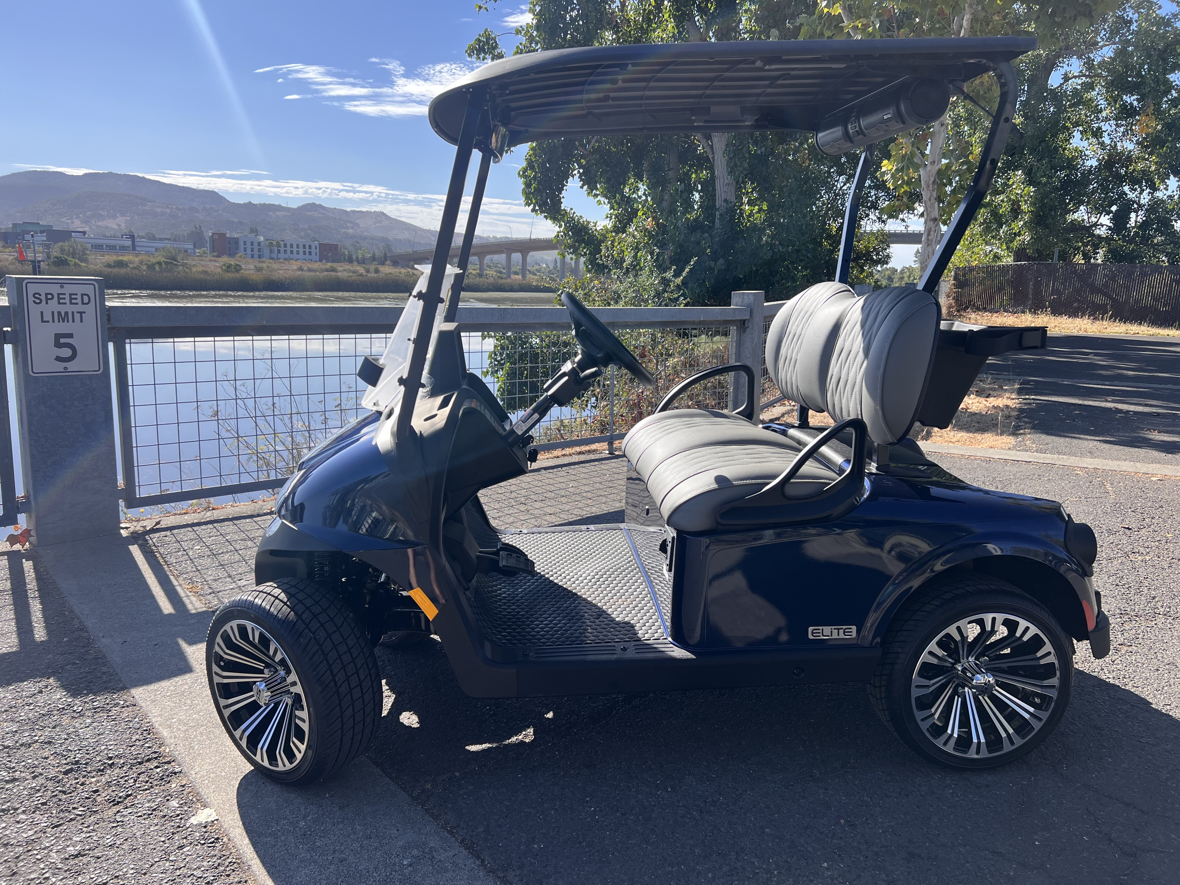 2027 EZGO RXV photo 8