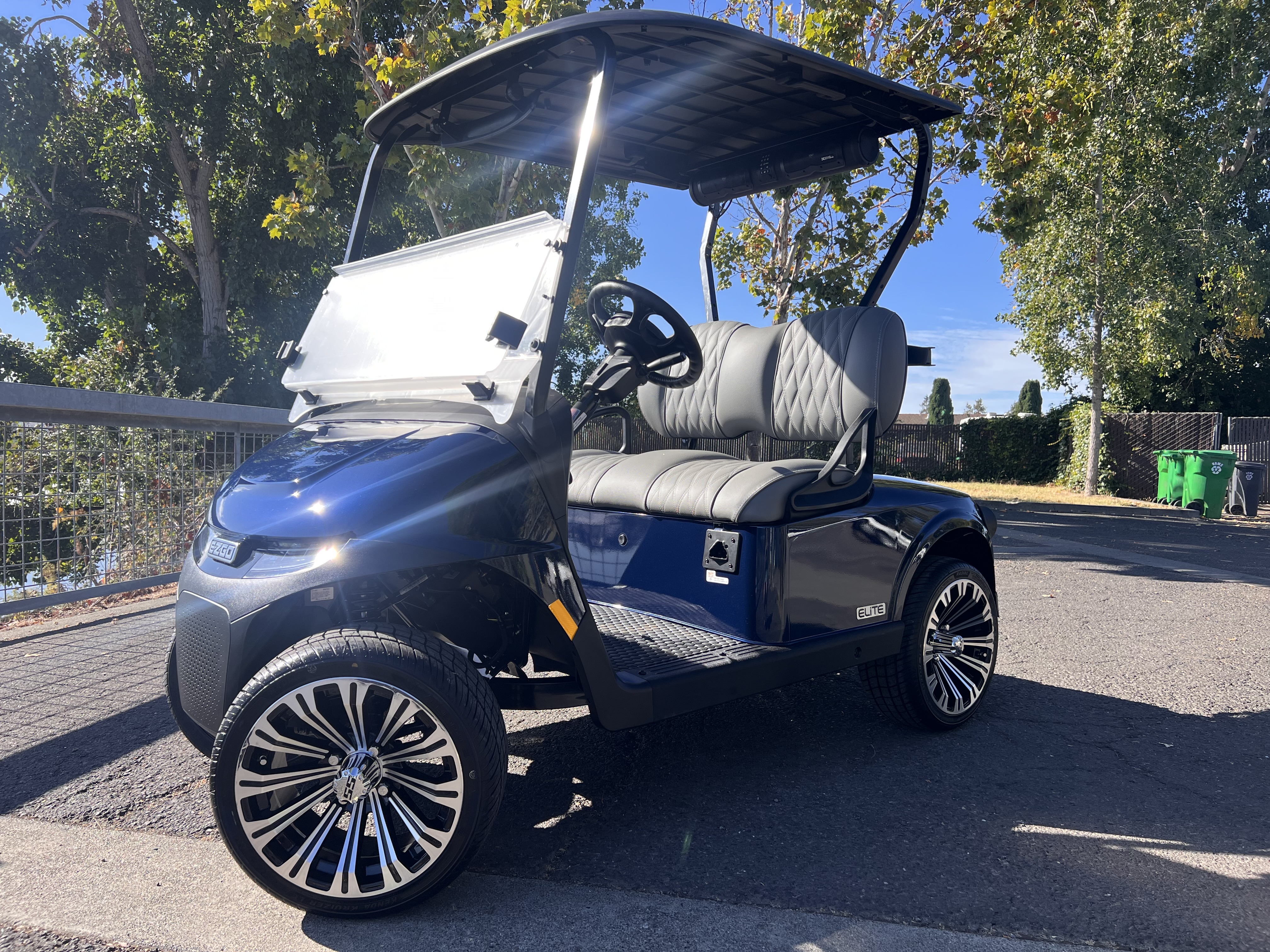 2027 EZGO RXV photo 9