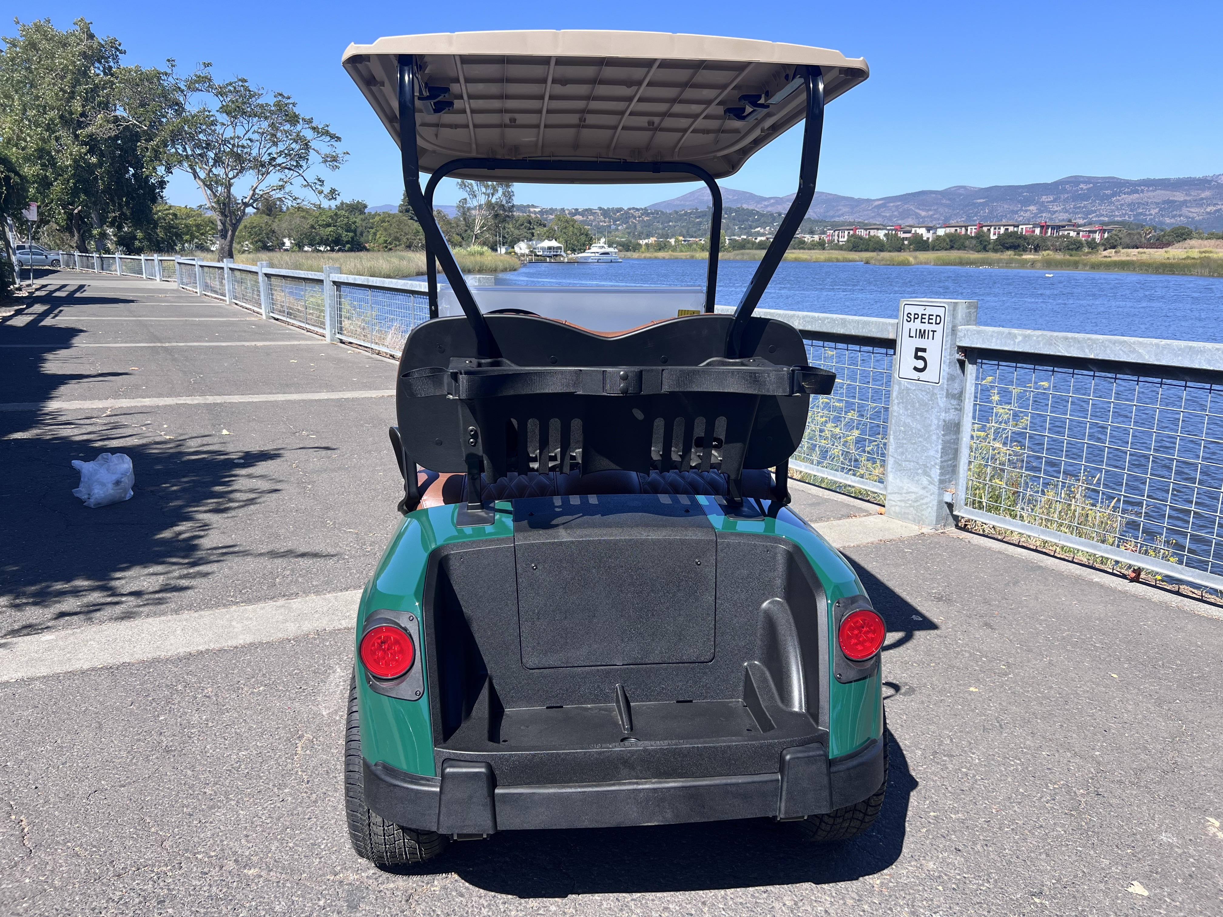 2026 EZGO Freedom photo 4
