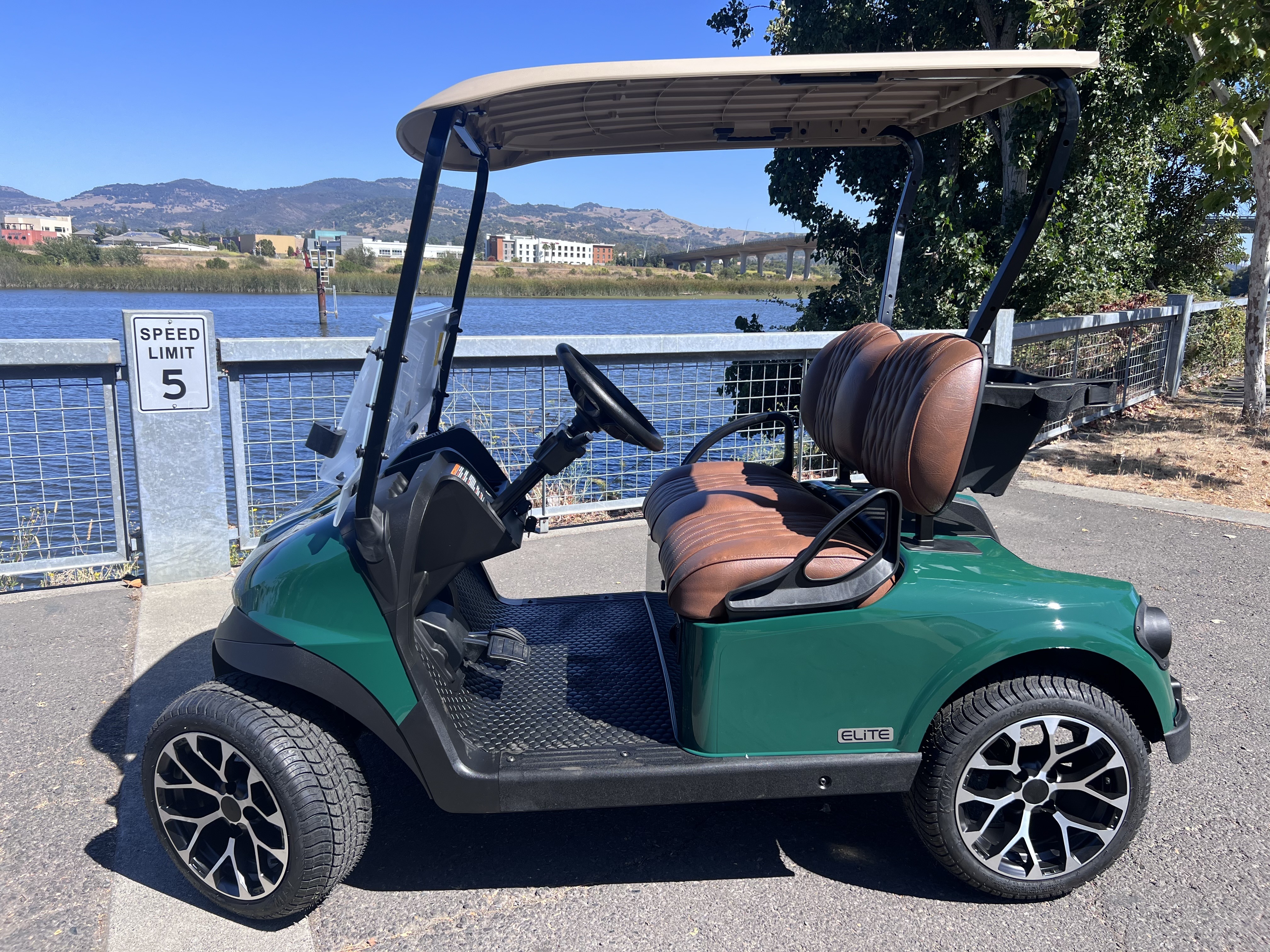 2026 EZGO Freedom photo 6