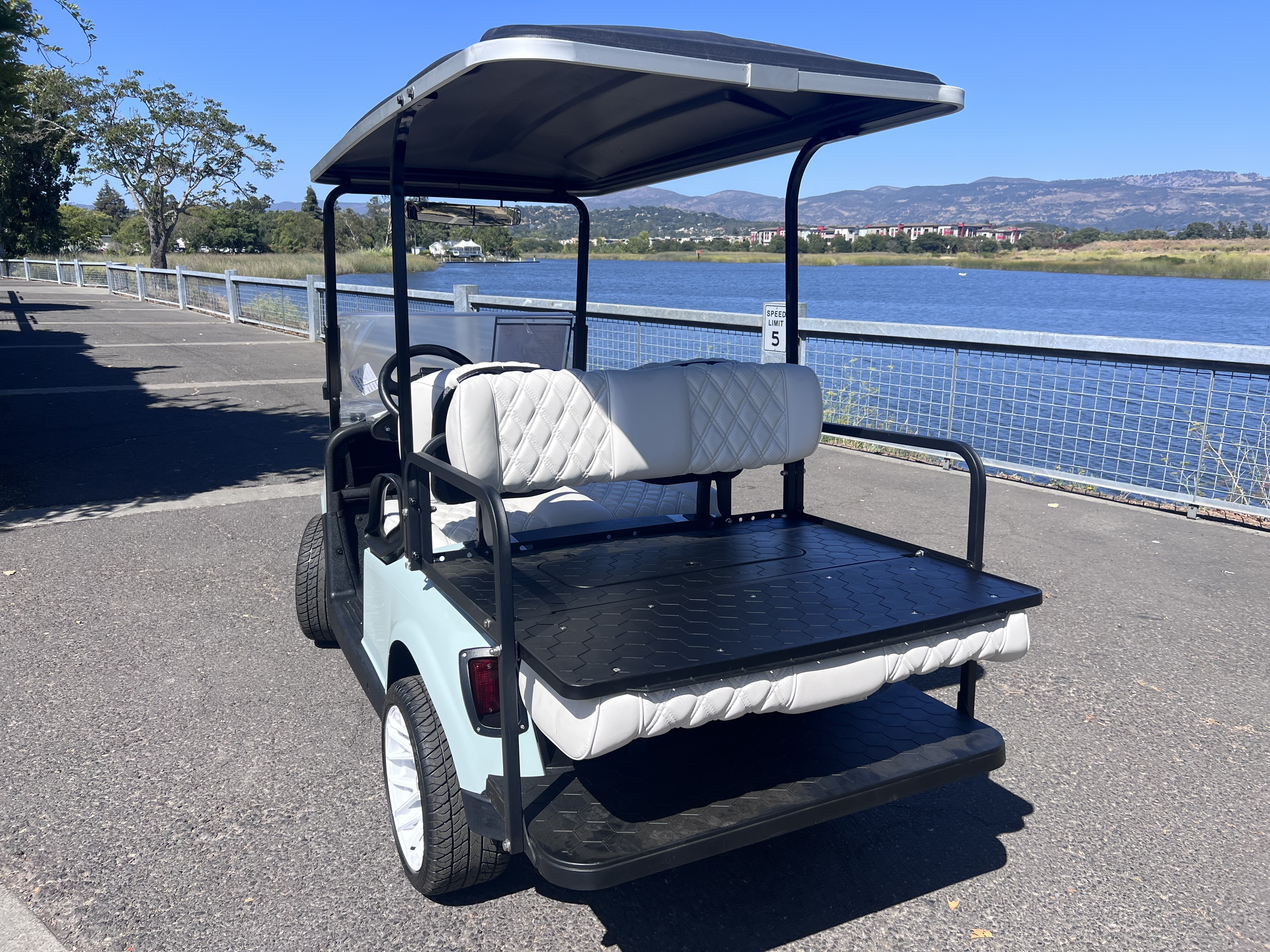 2021 EZGO RXV photo 5