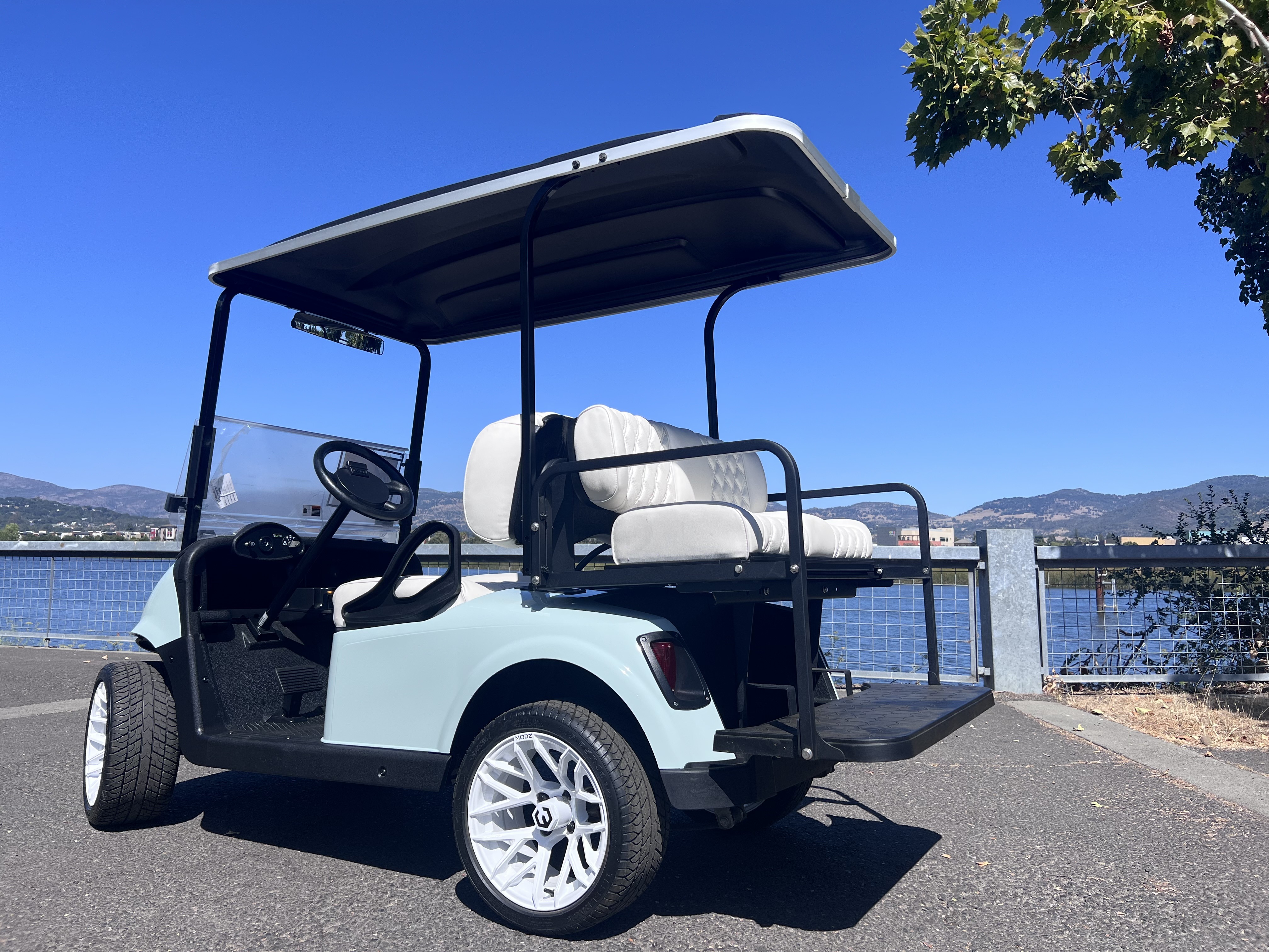 2021 EZGO RXV photo 2