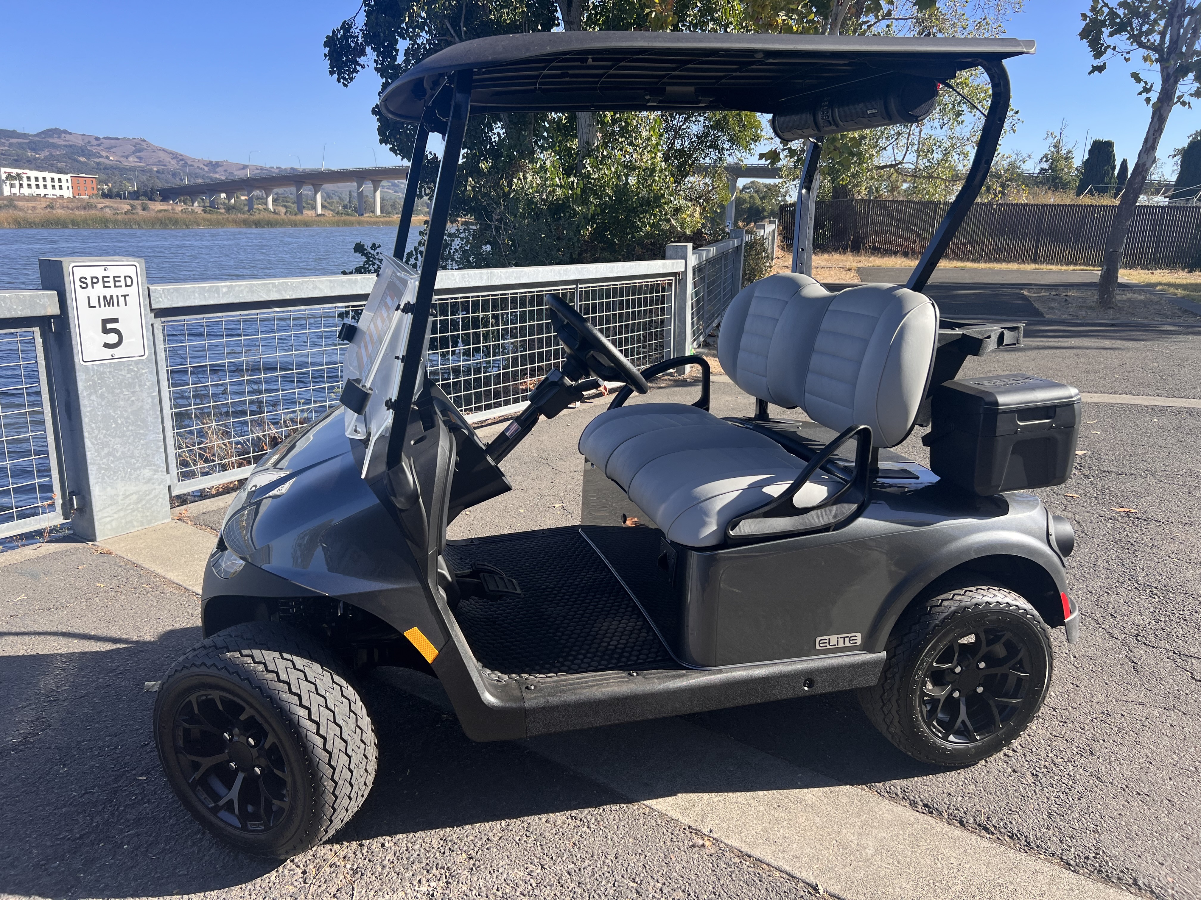 2027 EZGO RXV photo 2