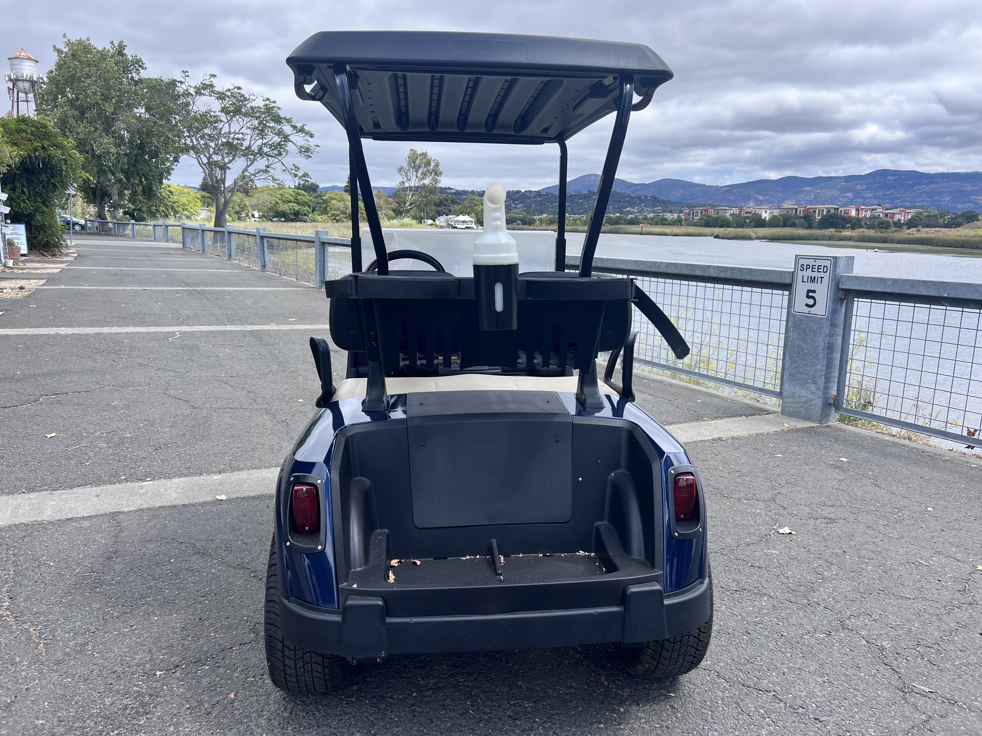 2020 E-Z-GO RXV Fleet CPO — photo 4