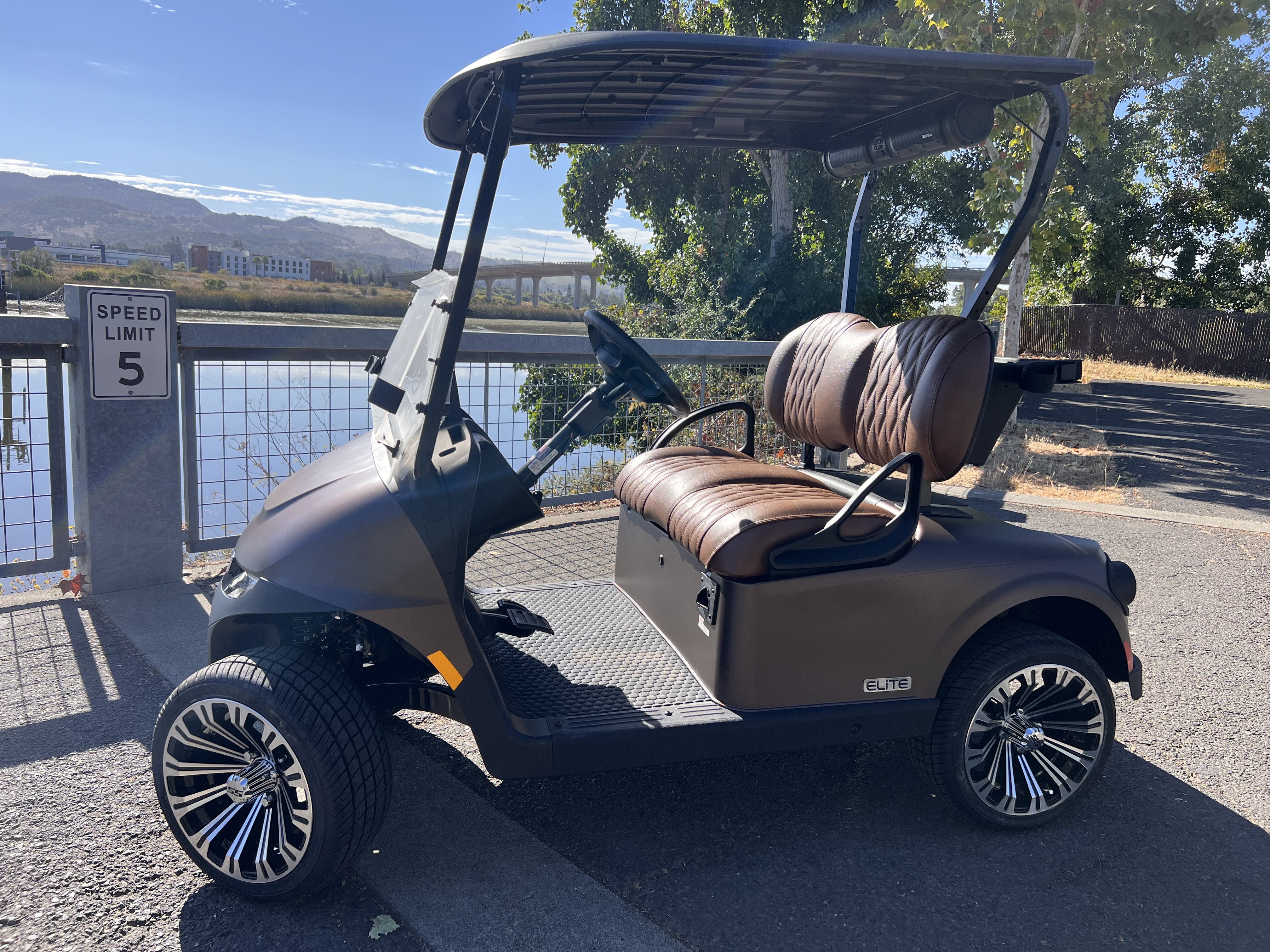 2027 EZGO RXV photo 2