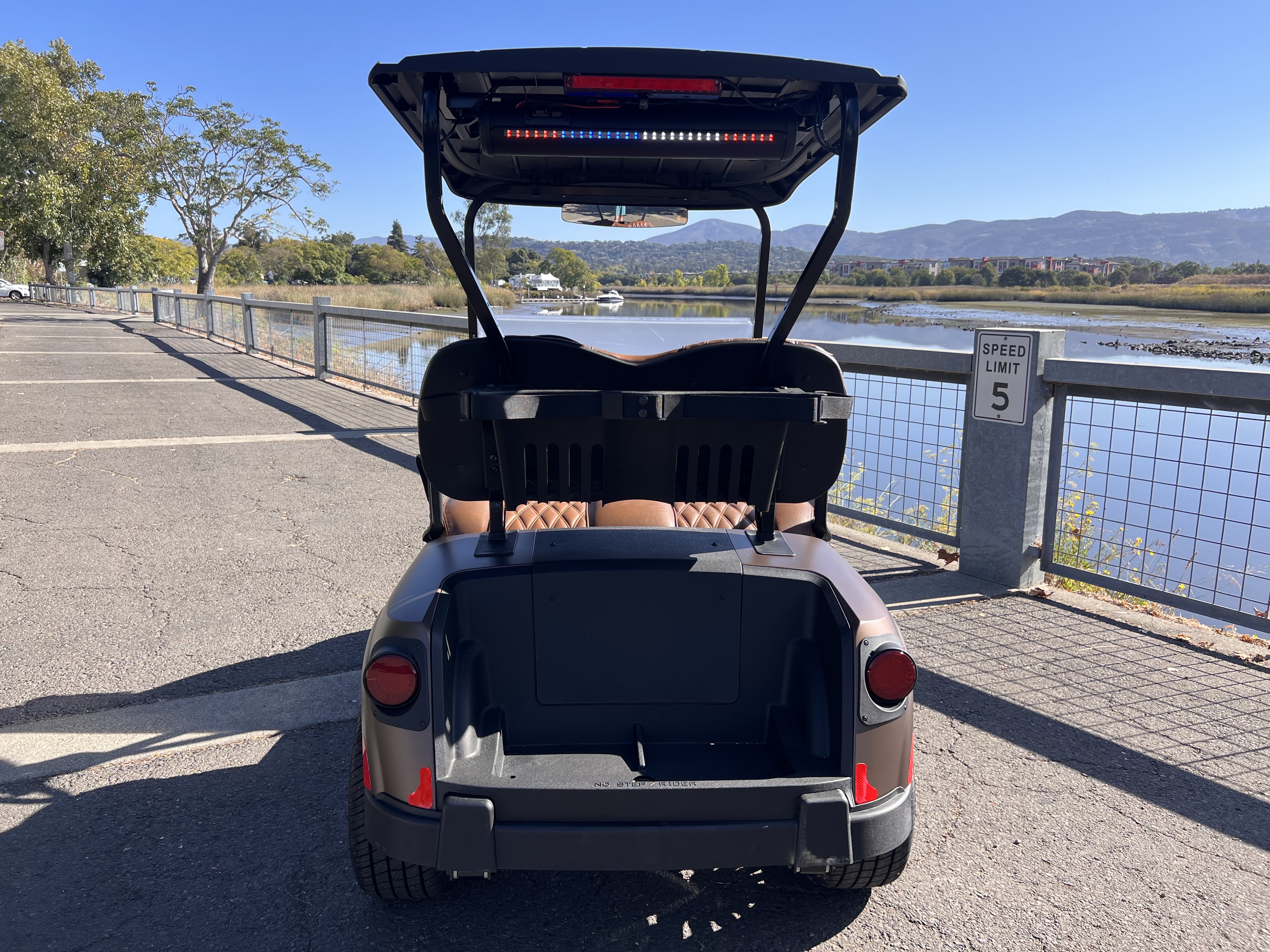 2027 EZGO RXV photo 4