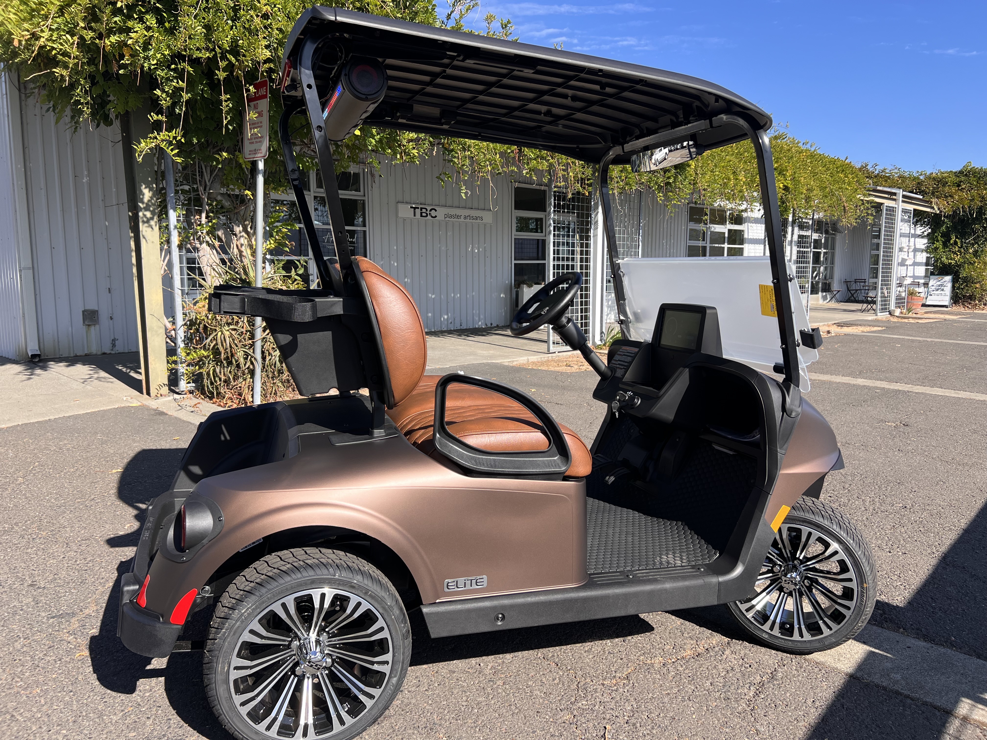 2027 EZGO RXV photo 6