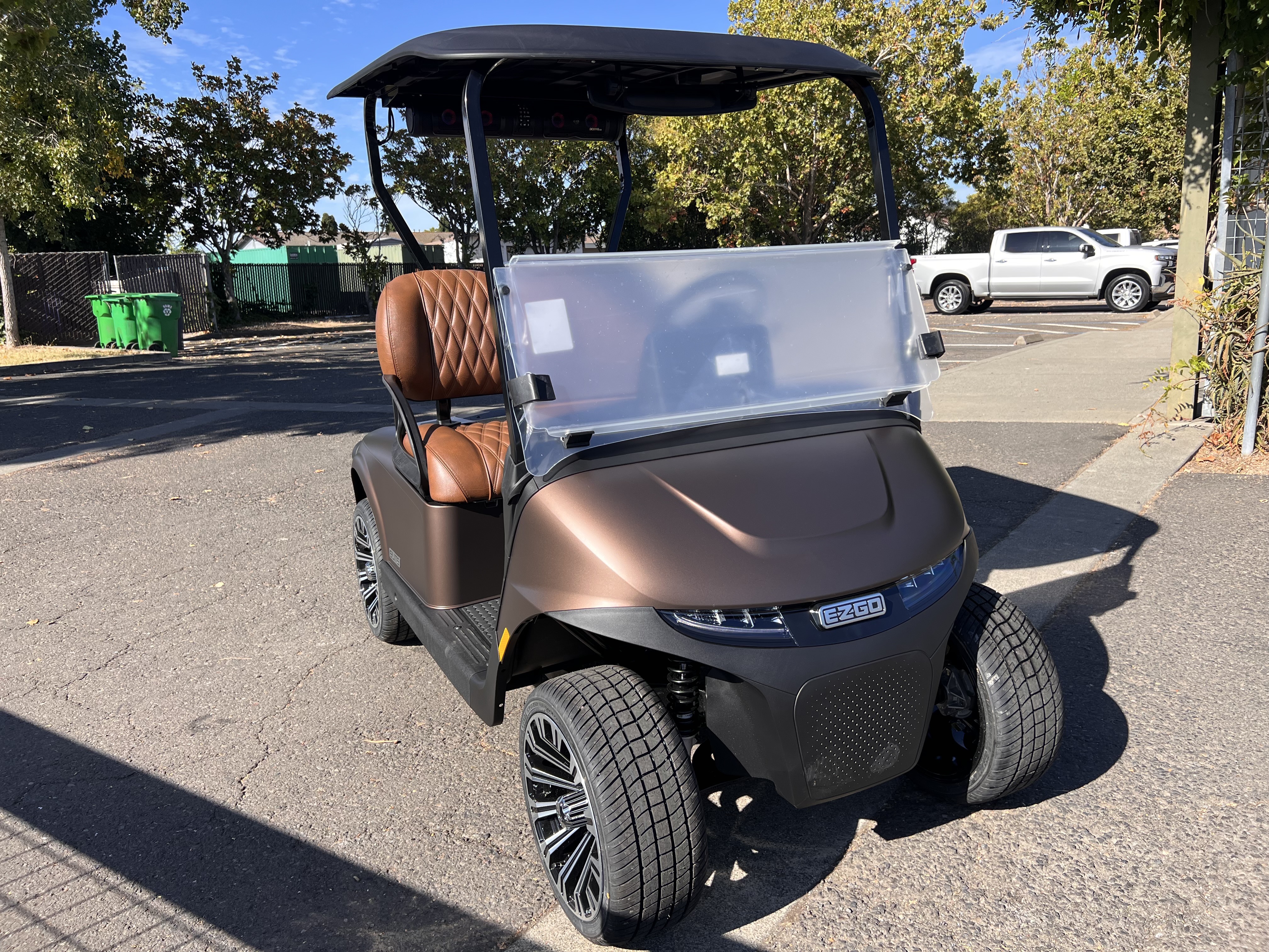 2027 EZGO RXV photo 7