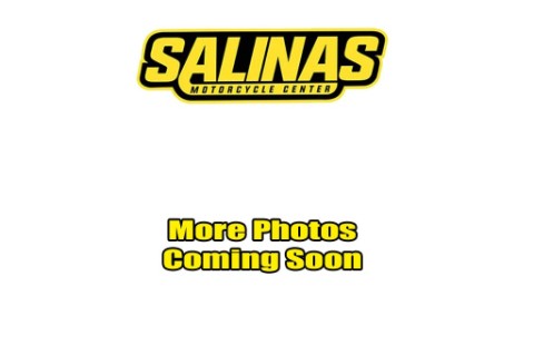 2023 Kawasaki Ninja 400 ABS — photo 1 of 9