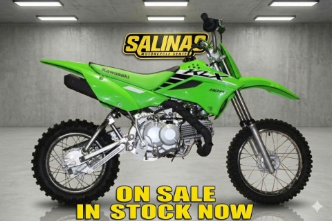 2025 Kawasaki KLX110R L — photo 1 of 14