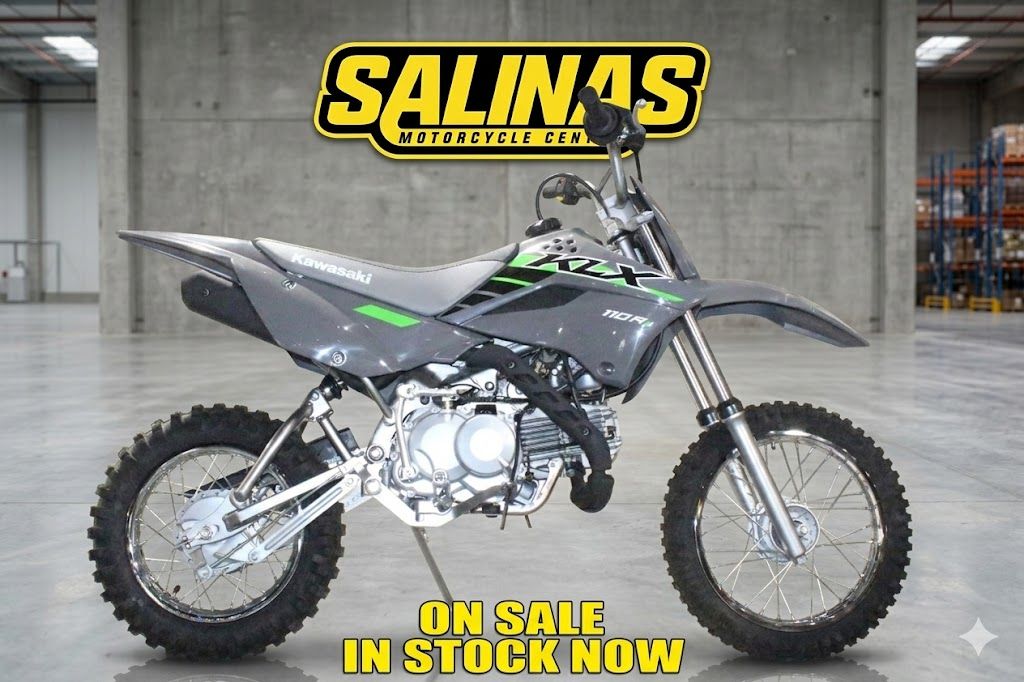 2025 Kawasaki KLX®110R L 1