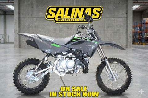 2025 Kawasaki KLX110R L — photo 1 of 15