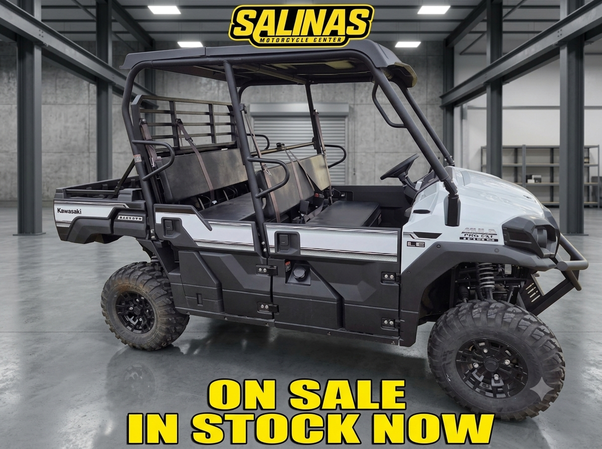 2025 Kawasaki MULE PRO-FXT 1000 LE 1