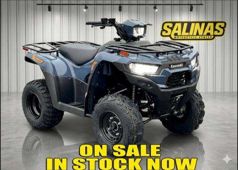 2026 Kawasaki Brute Force 300 — photo 1 of 30