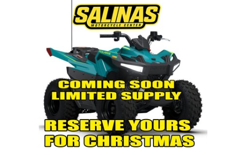 2026 Polaris Outlaw 70 EFI