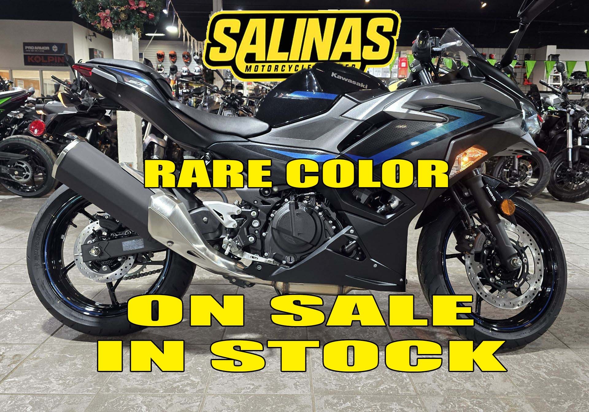 2025 Kawasaki Ninja® 500 ABS 1