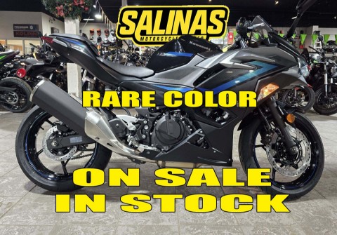 2025 Kawasaki Ninja 500 ABS — photo 1 of 17