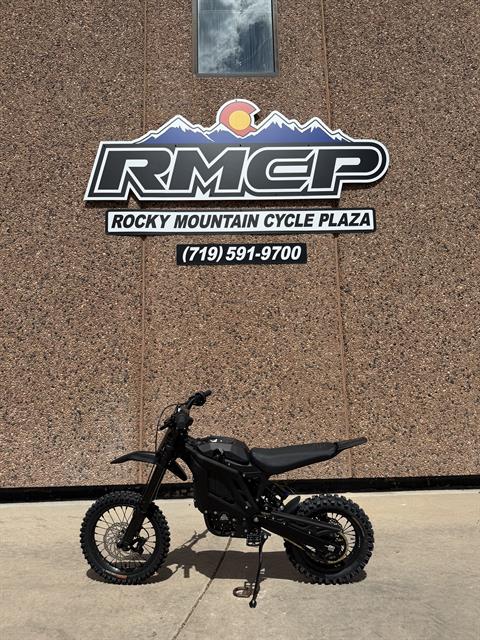 2025 E-Ride Pro Mini