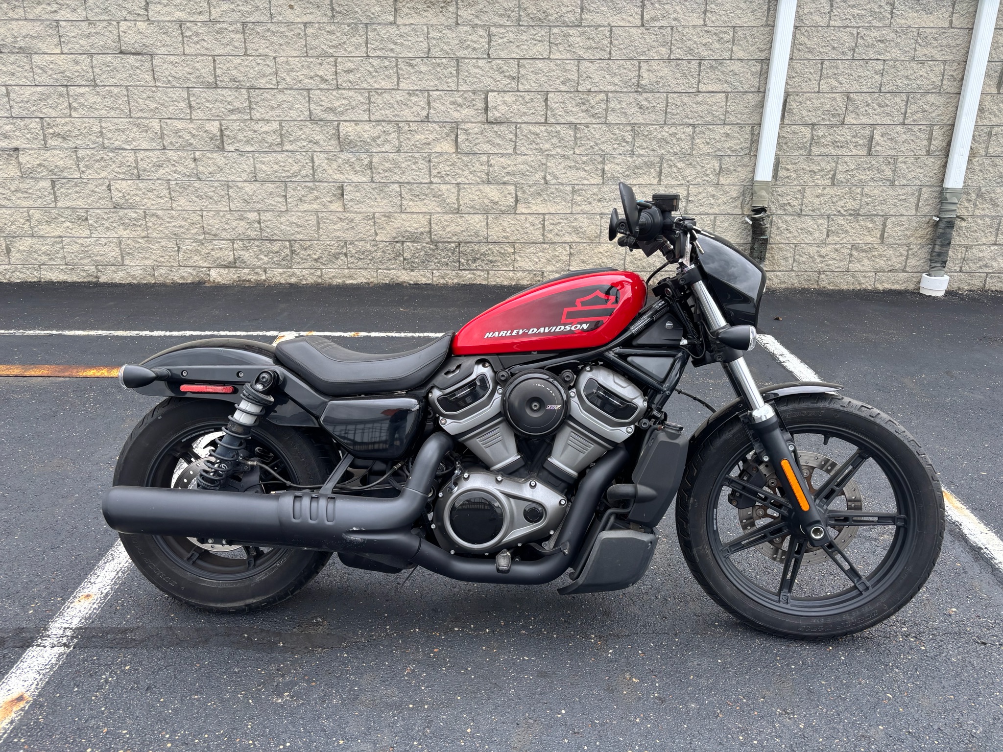 2022 Nightster