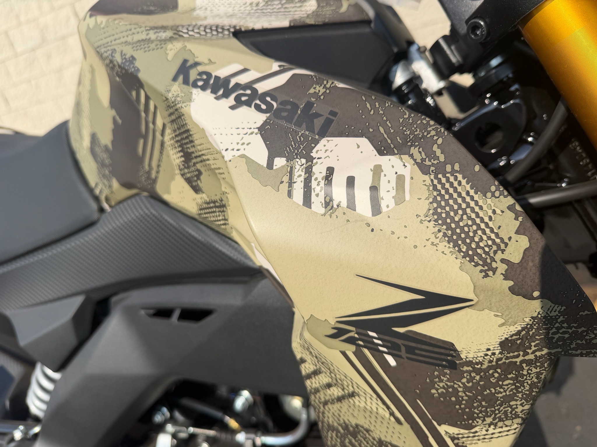 2025 Kawasaki Z125 Pro 2