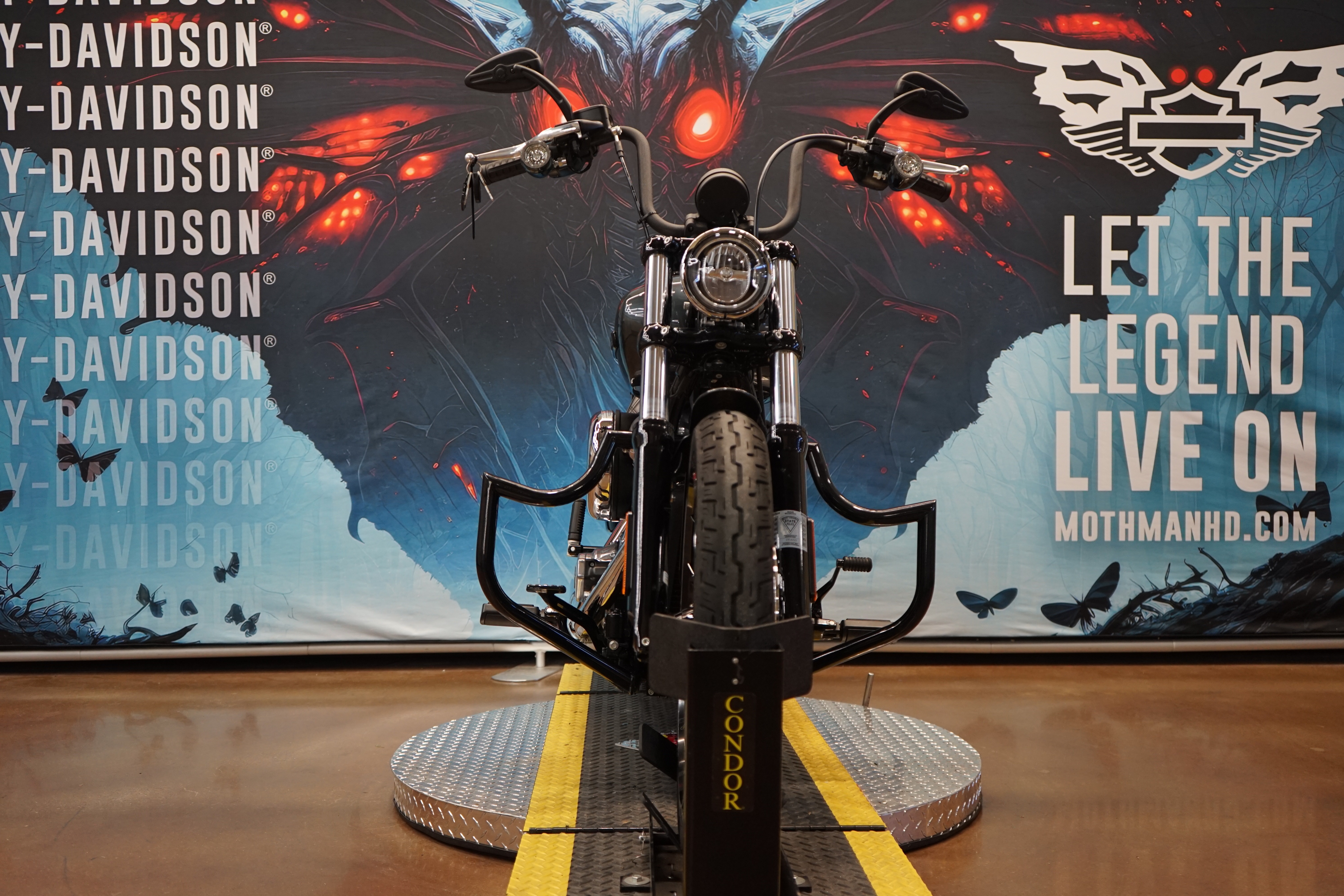 2025 Harley-Davidson Street Bob® 3