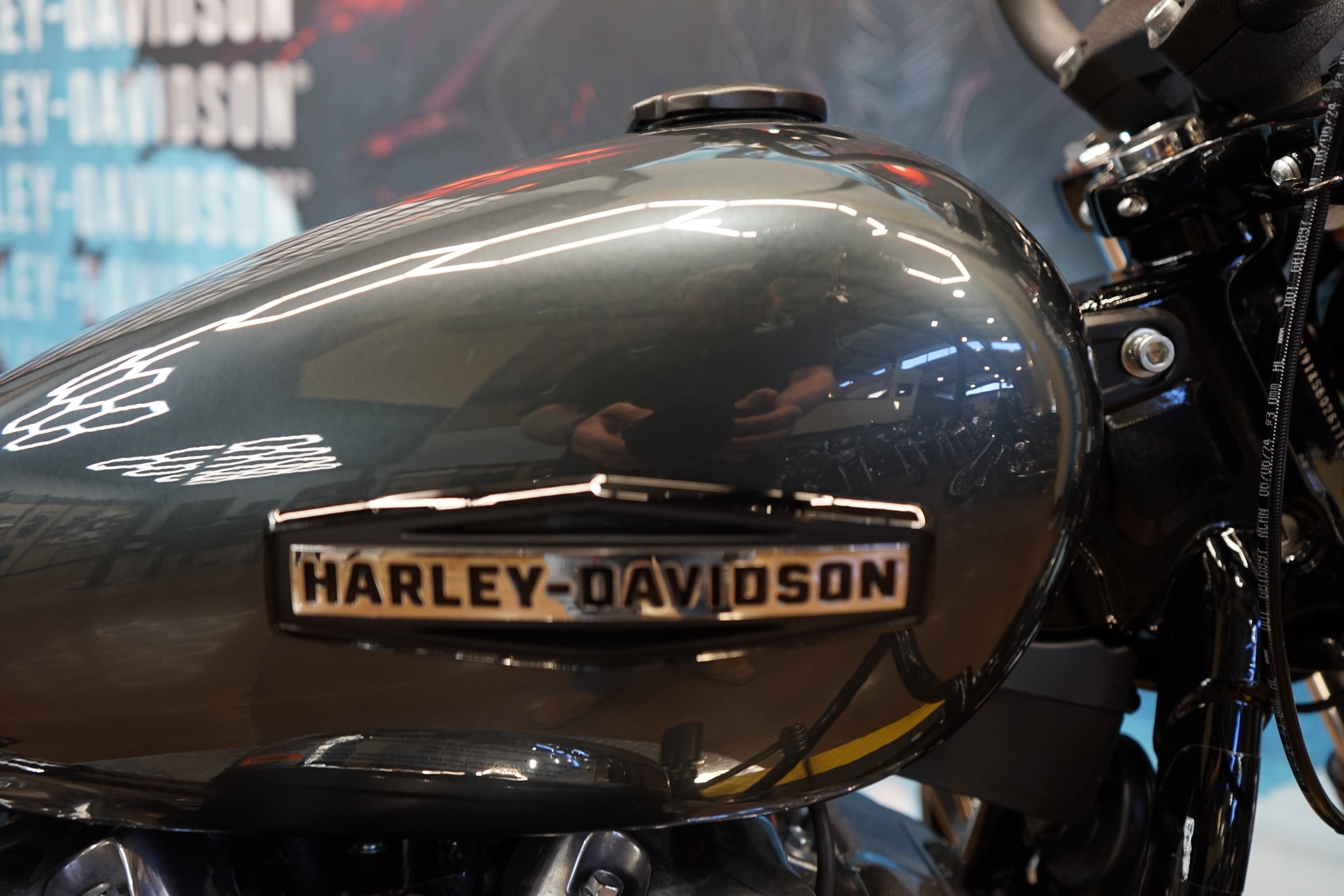 2025 Harley-Davidson Street Bob® 9