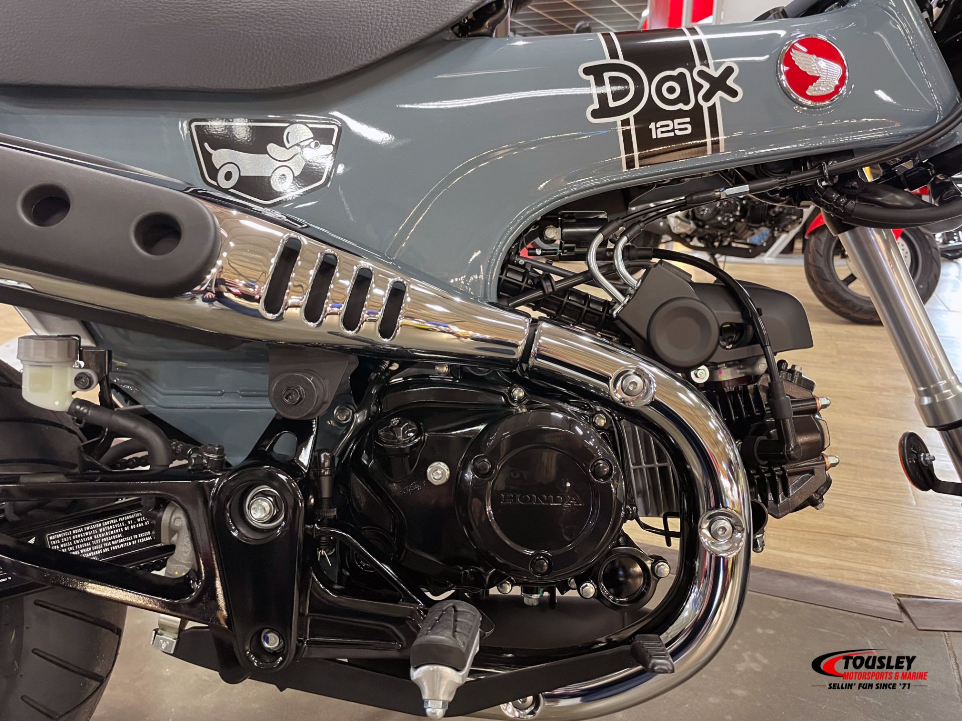 New 2025 Honda Dax 125, White Bear Lake MN | Specs, Price, Photos