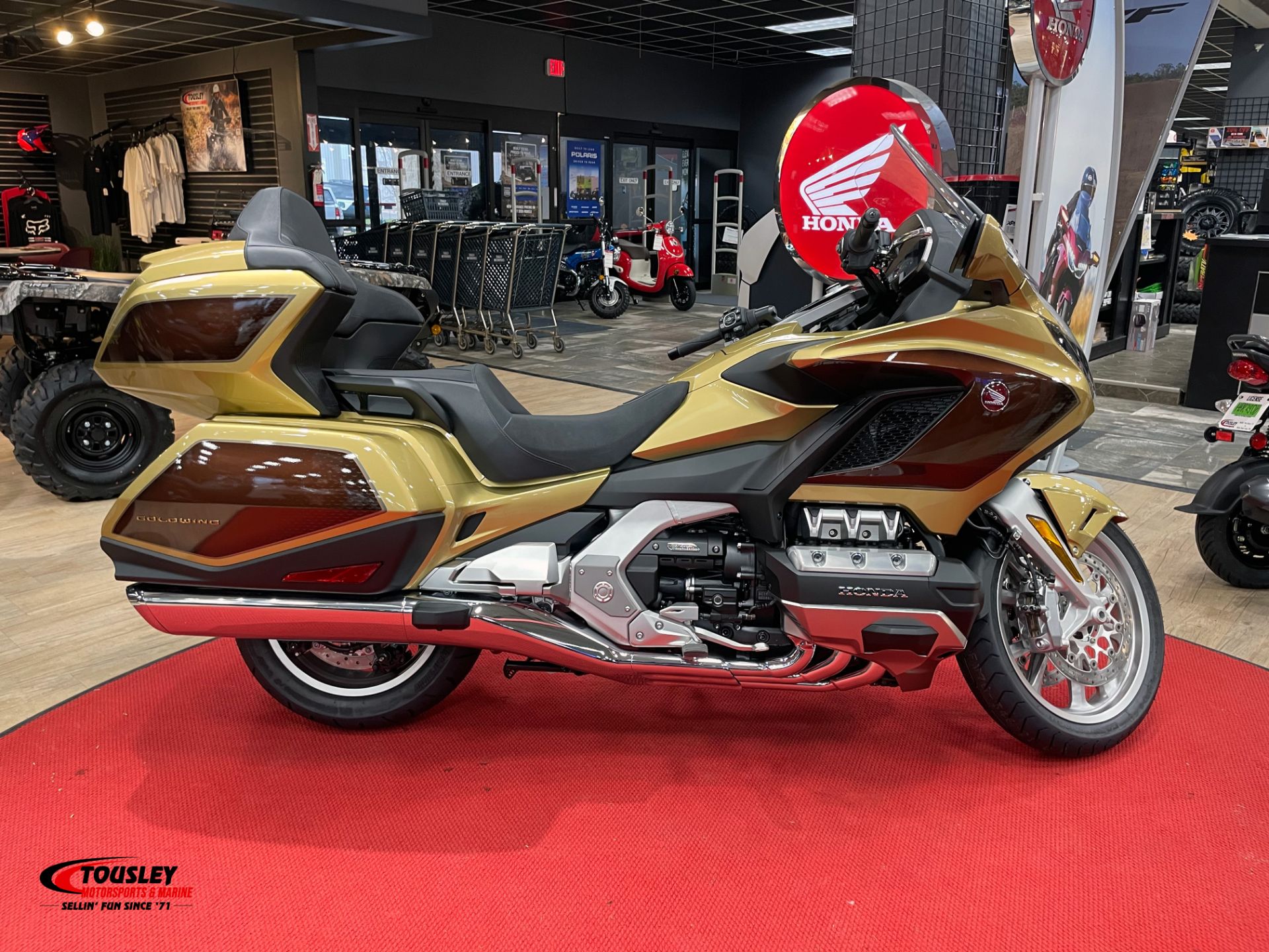 New 2025 Honda Gold Wing Tour DCT 50th Anniversary, White Bear