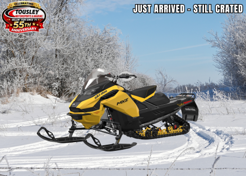2025 Ski-Doo MXZ Adrenaline 137 600R E-TEC ES Ripsaw 1.25 — photo 1 of 5