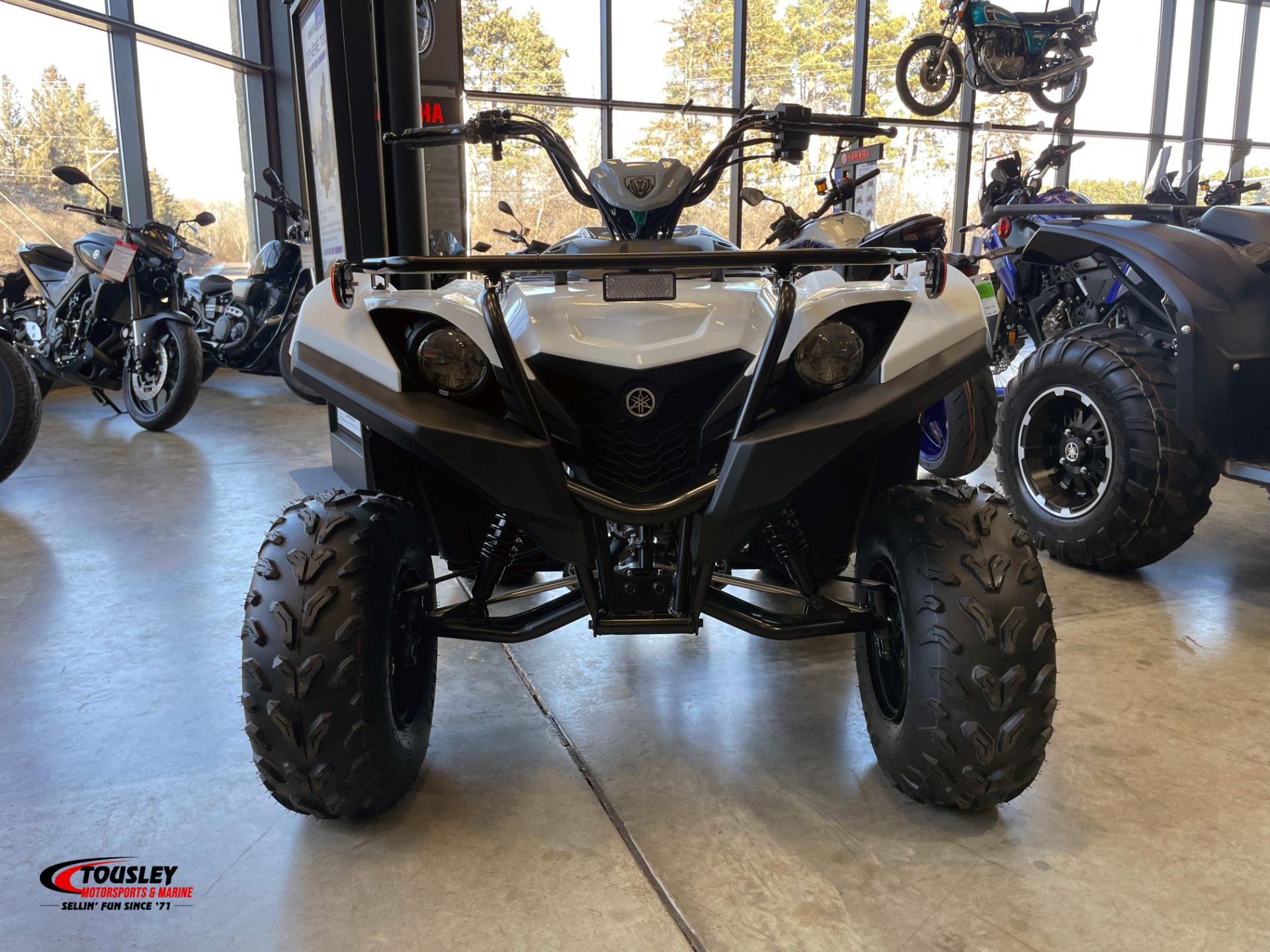 New 2024 Yamaha Grizzly 90, White Bear Lake MN | Specs, Price