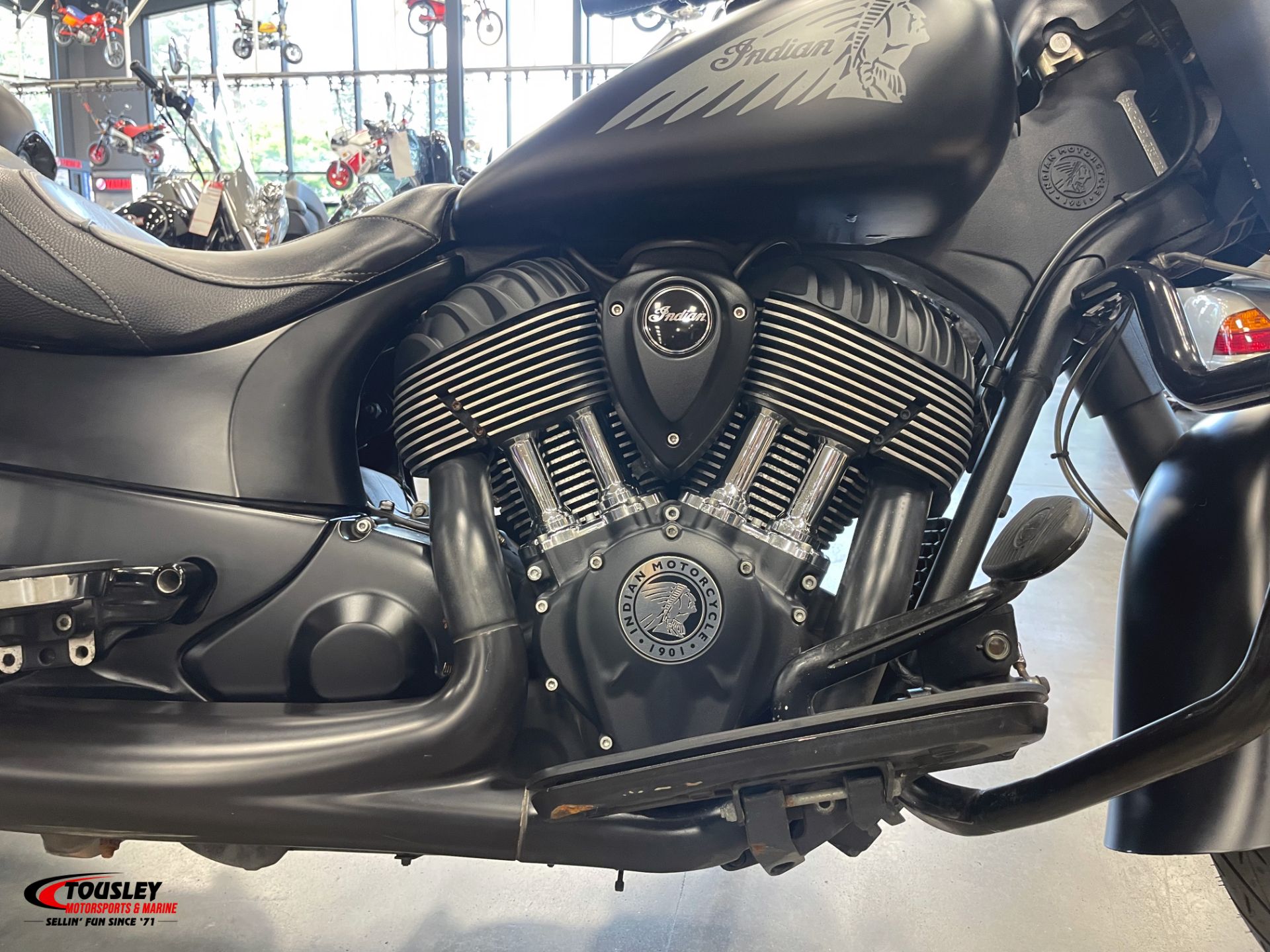 2018  Springfield® Dark Horse® 3