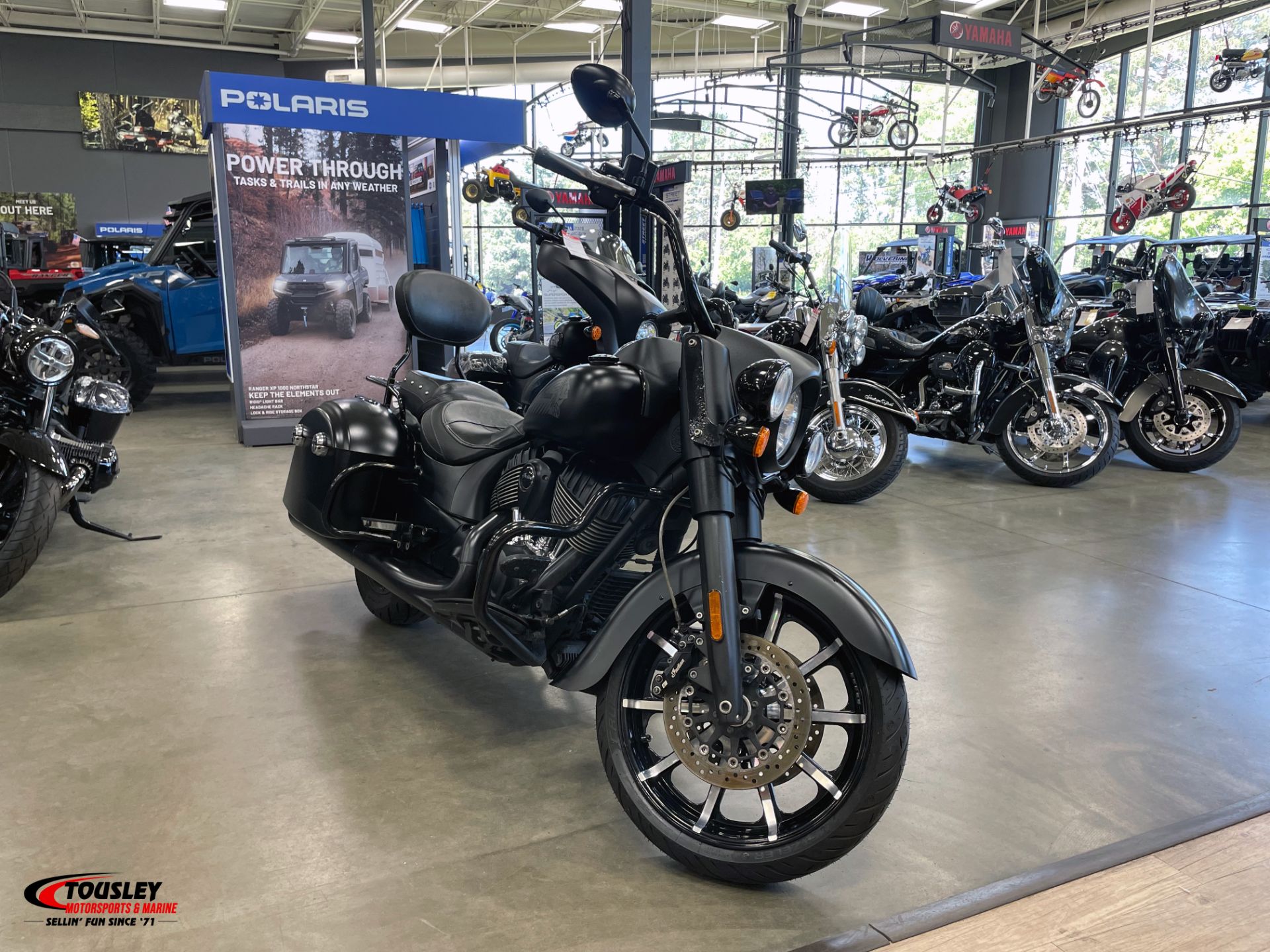 2018  Springfield® Dark Horse® 4