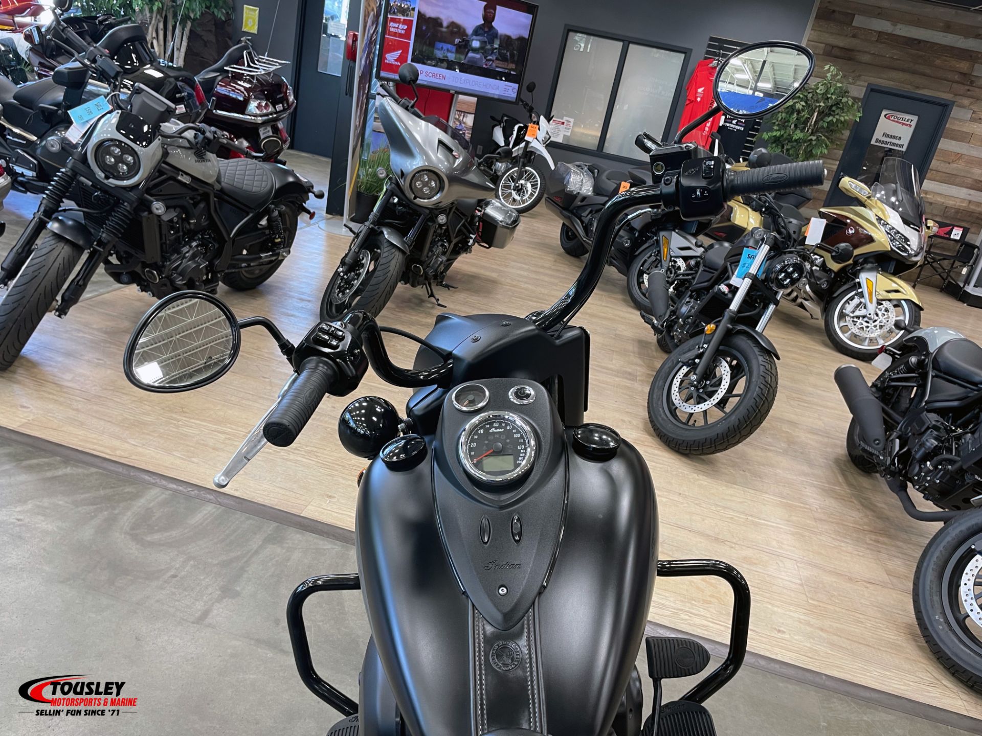 2018  Springfield® Dark Horse® 5