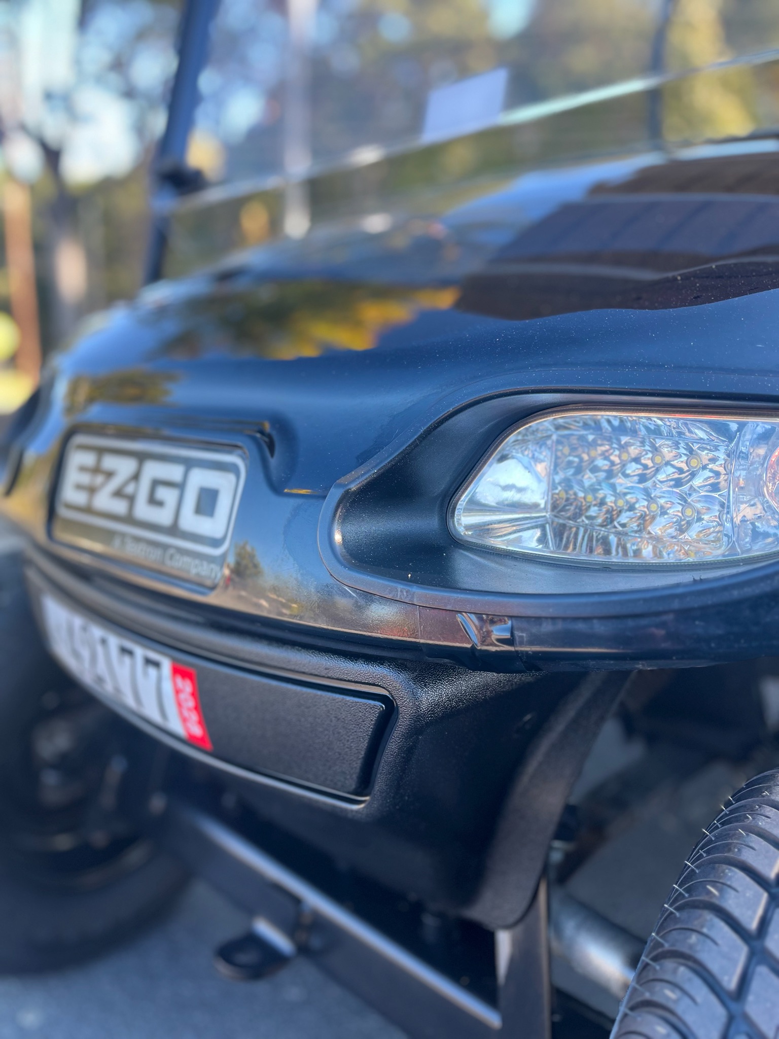 2016 E-Z-GO TXT Electric — photo 2