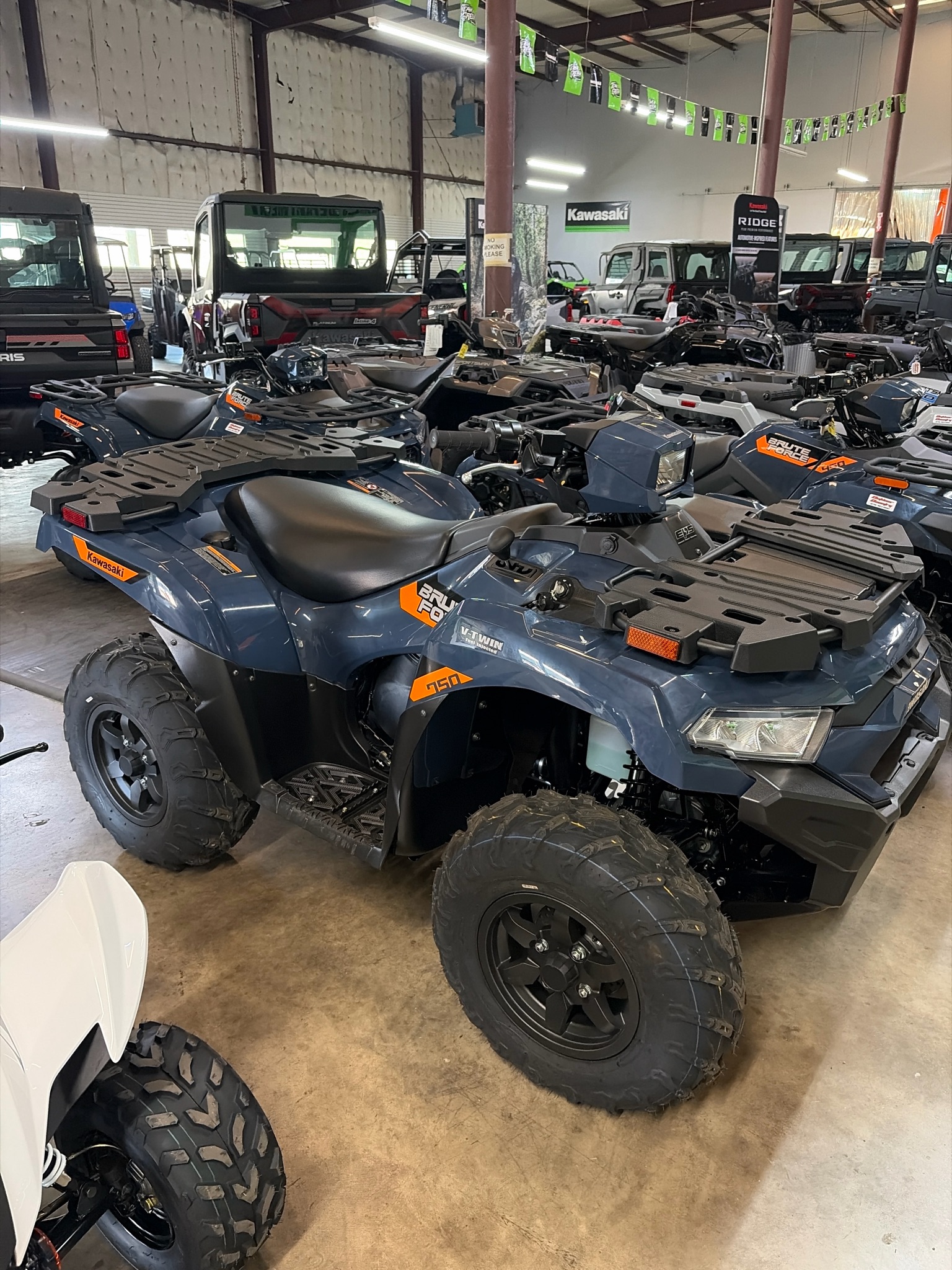 2026 Kawasaki Brute Force® 750 EPS 1