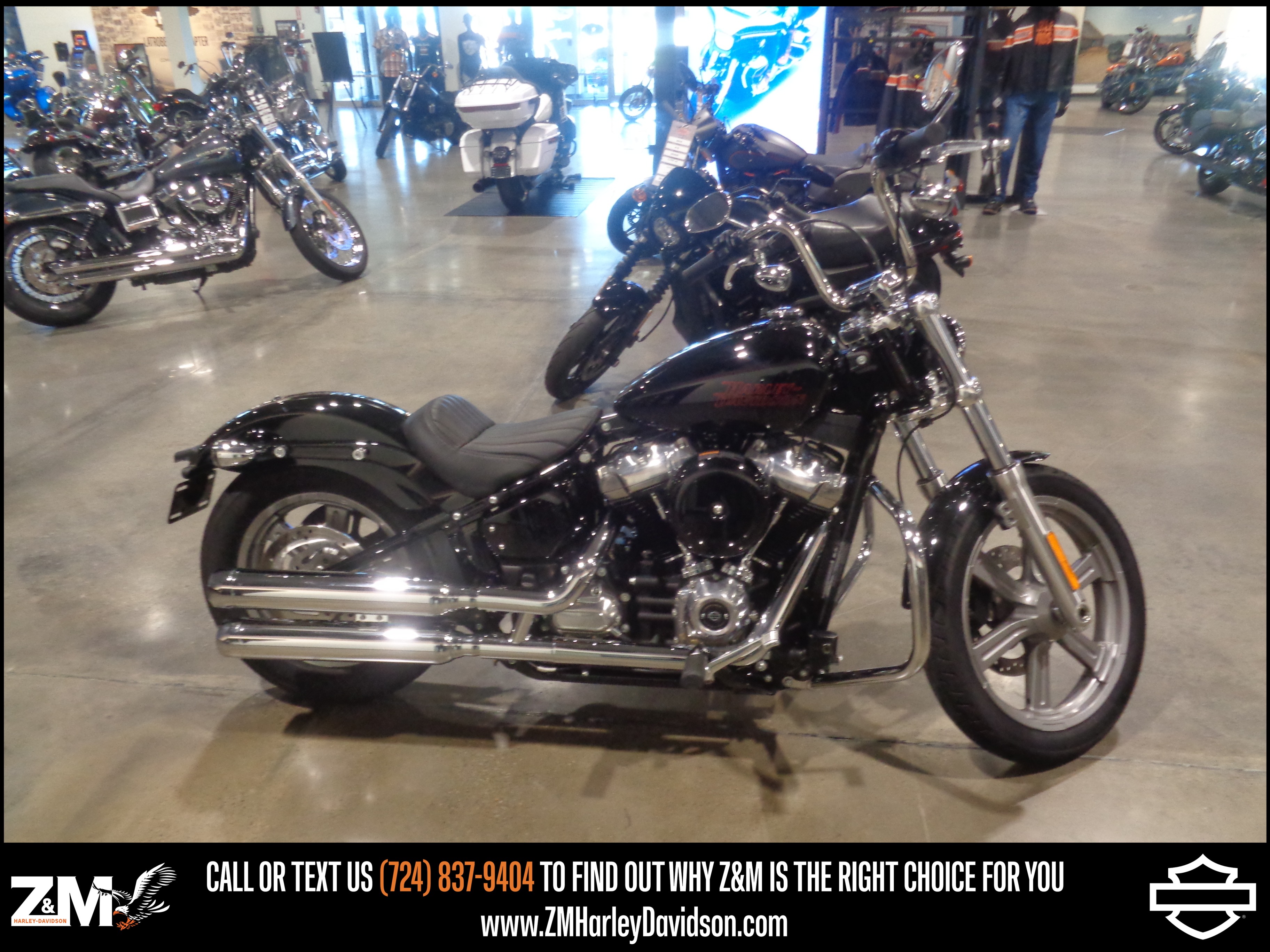 2024 Harley-Davidson Softail® Standard