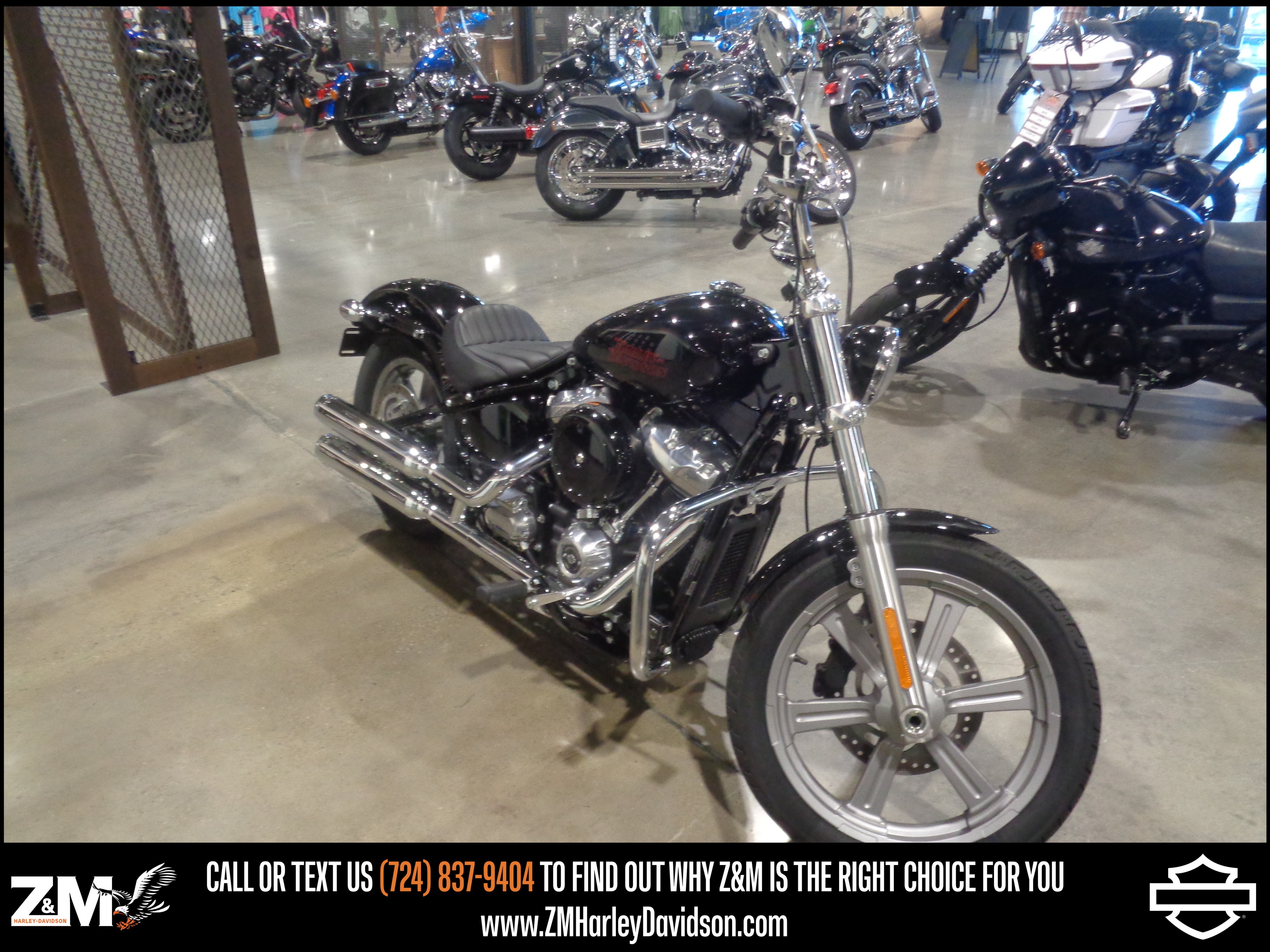 2024 Harley-Davidson Softail® Standard 2