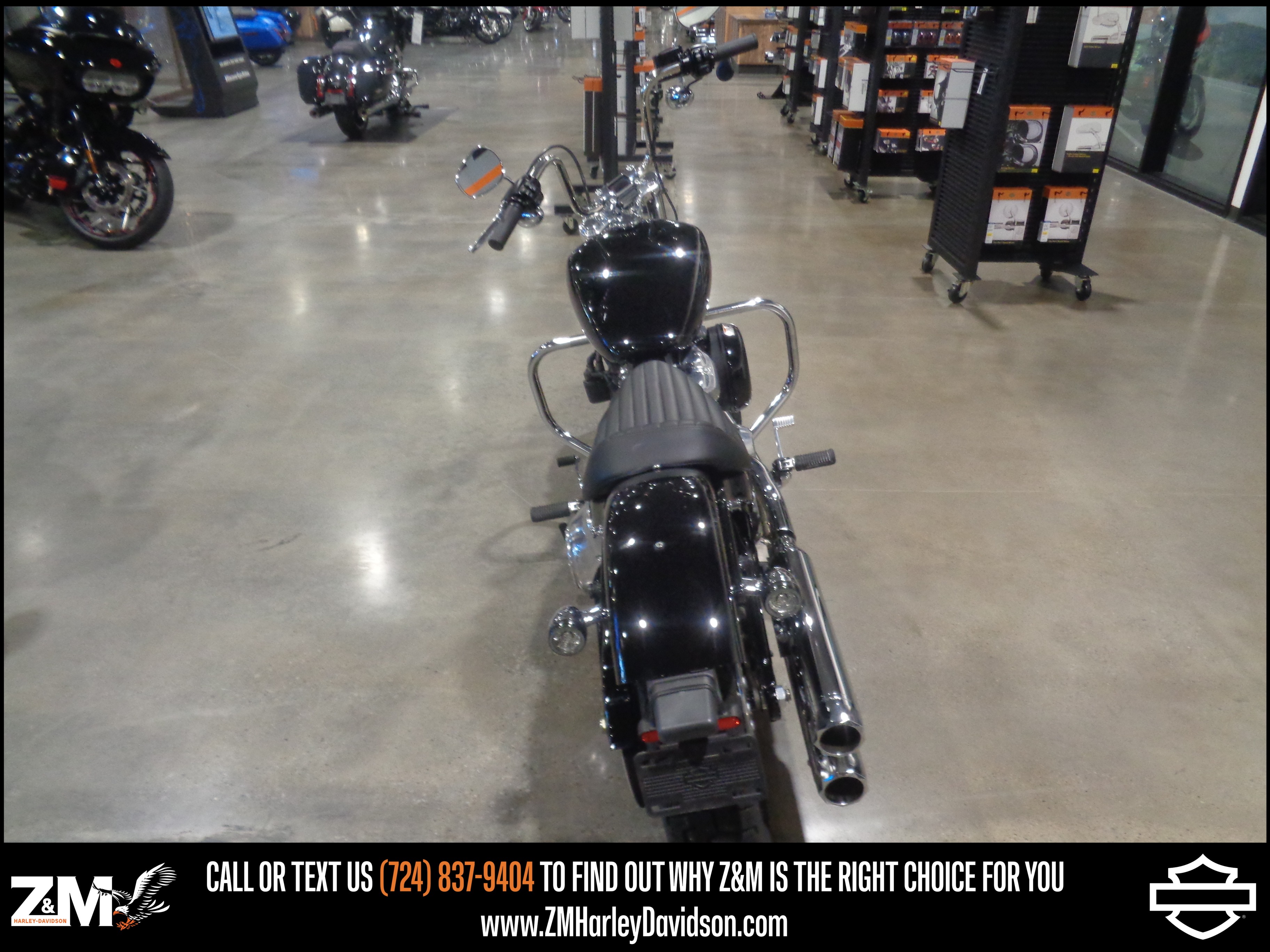 2024 Harley-Davidson Softail® Standard 6
