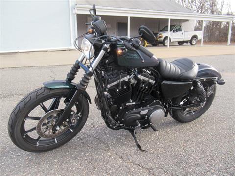 2021 Harley-Davidson Iron 883™ Motorcycles Springfield