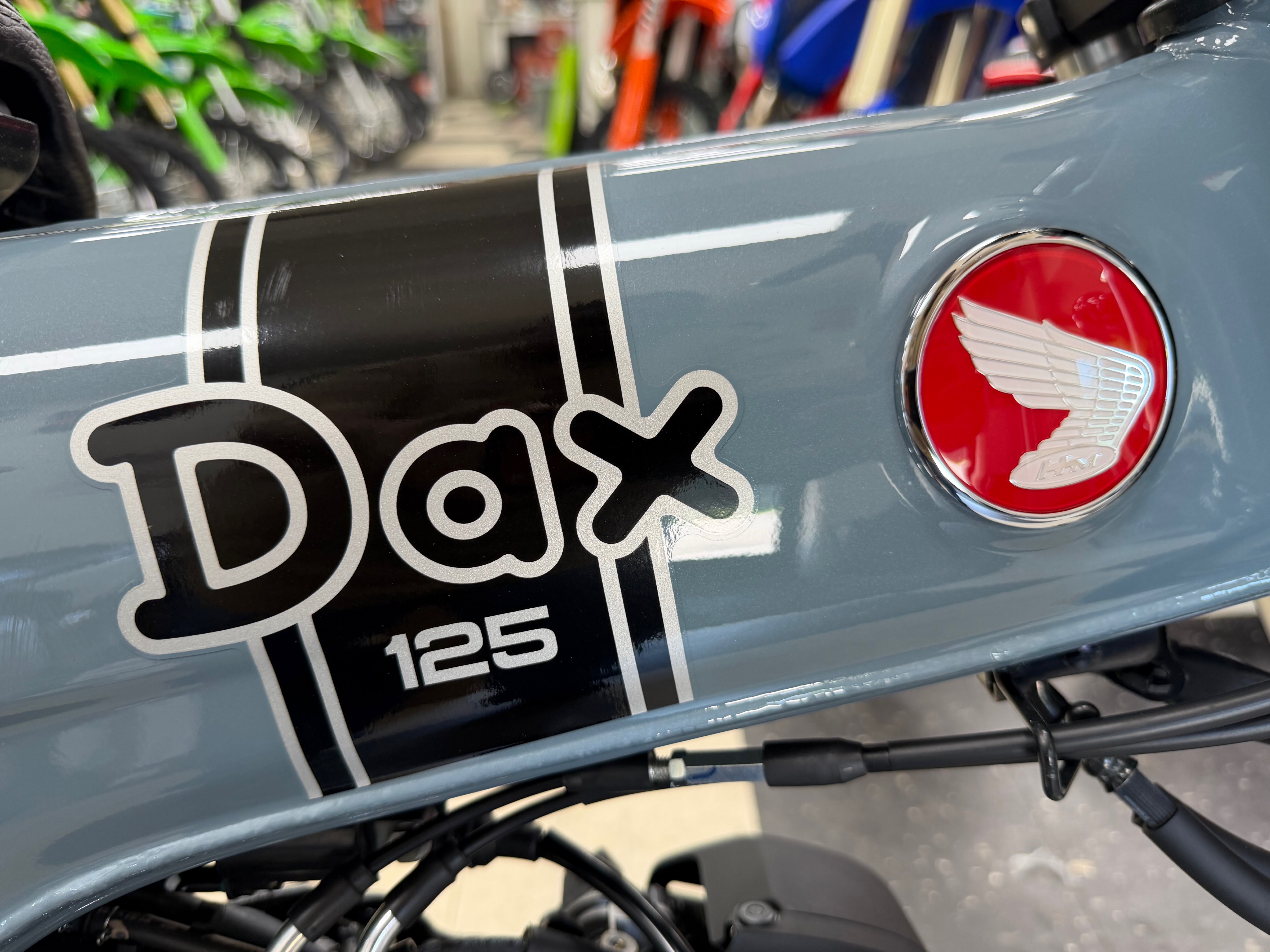 2025 Honda Dax 125 5