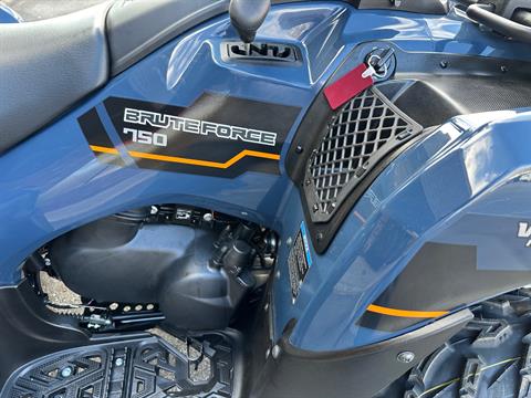 New 2024 Kawasaki Brute Force 750 EPS, Hamburg NJ | Specs