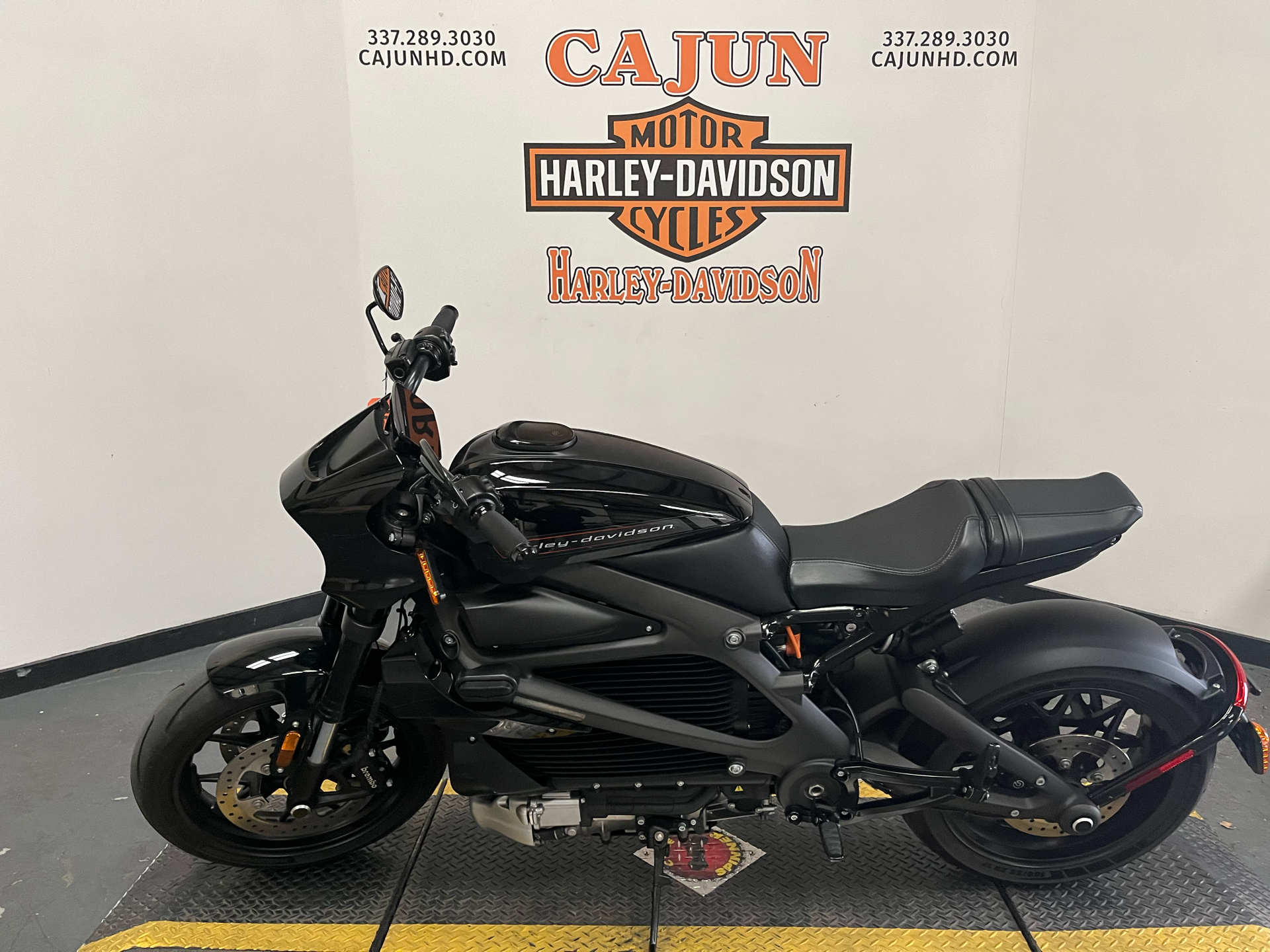 2020 Harley-Davidson Livewire™ in Scott, Louisiana - Photo 7