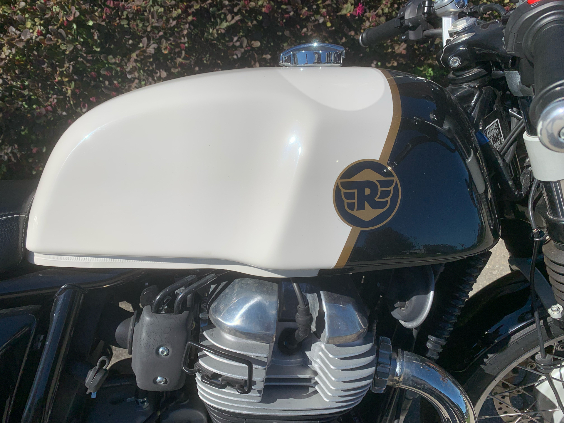 2022 Royal Enfield Continental GT 650 in Scott, Louisiana - Photo 9