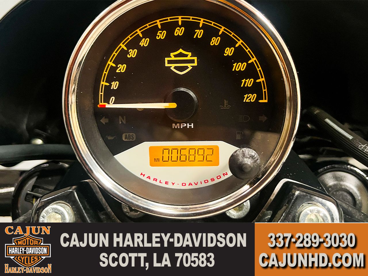 Low Mileage - Photo 11