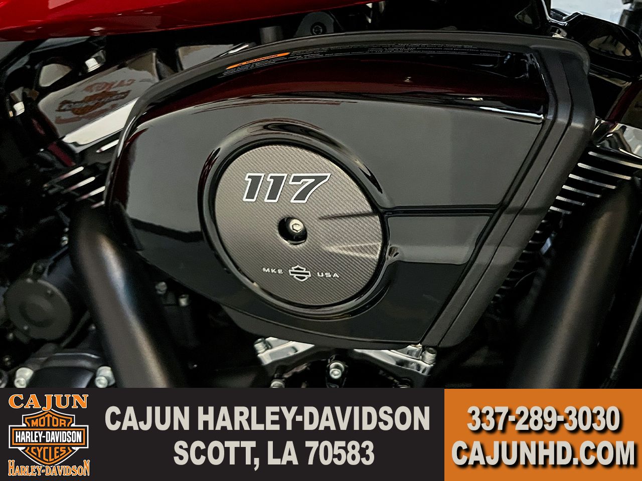 117 M8 Motor - Photo 12