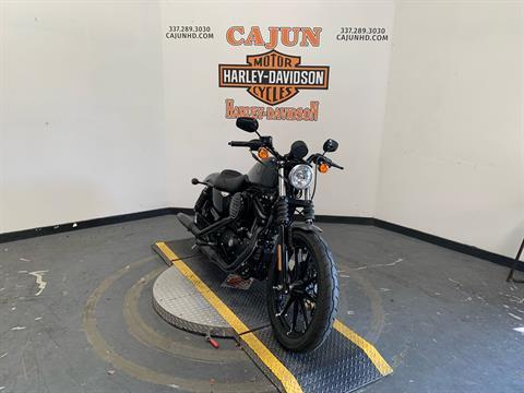 2022 Harley-Davidson Iron 883™ in Scott, Louisiana - Photo 4